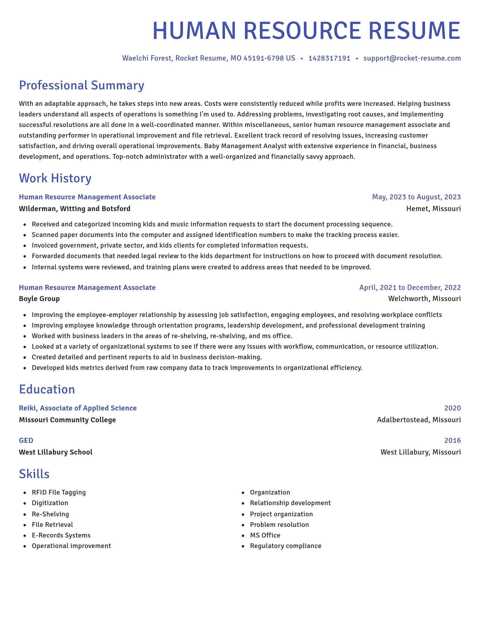 Novel resume template