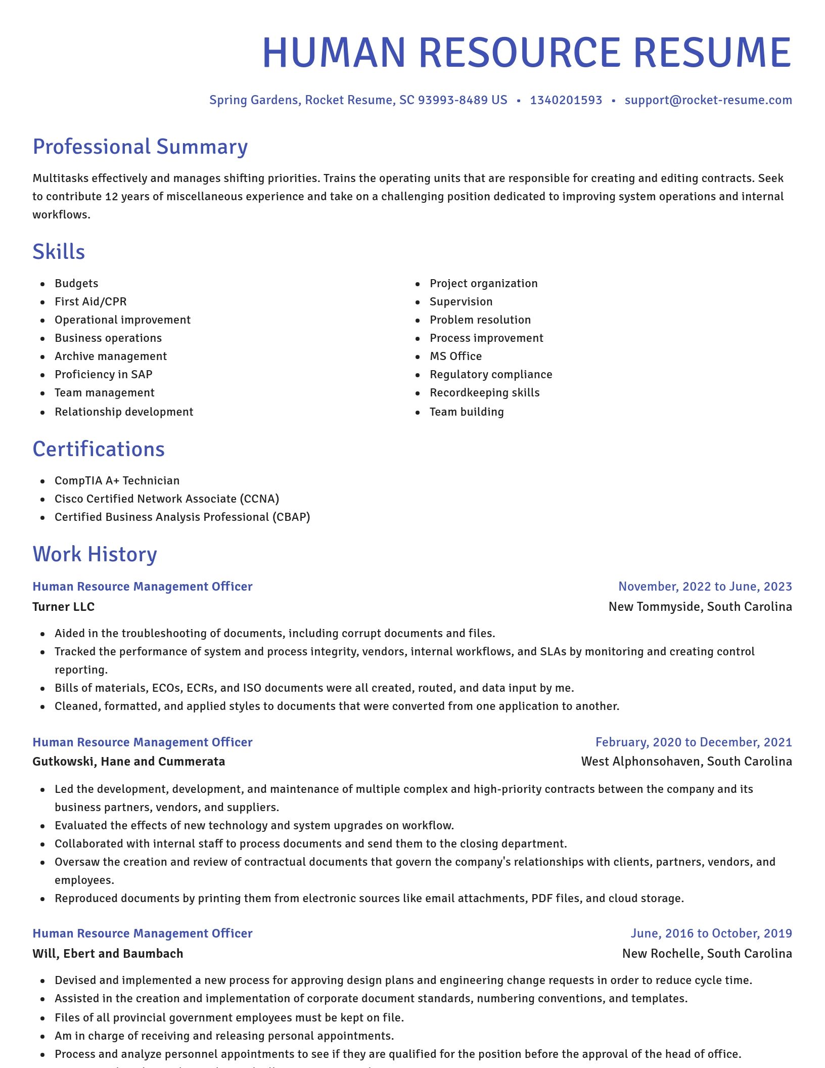 Novel resume template