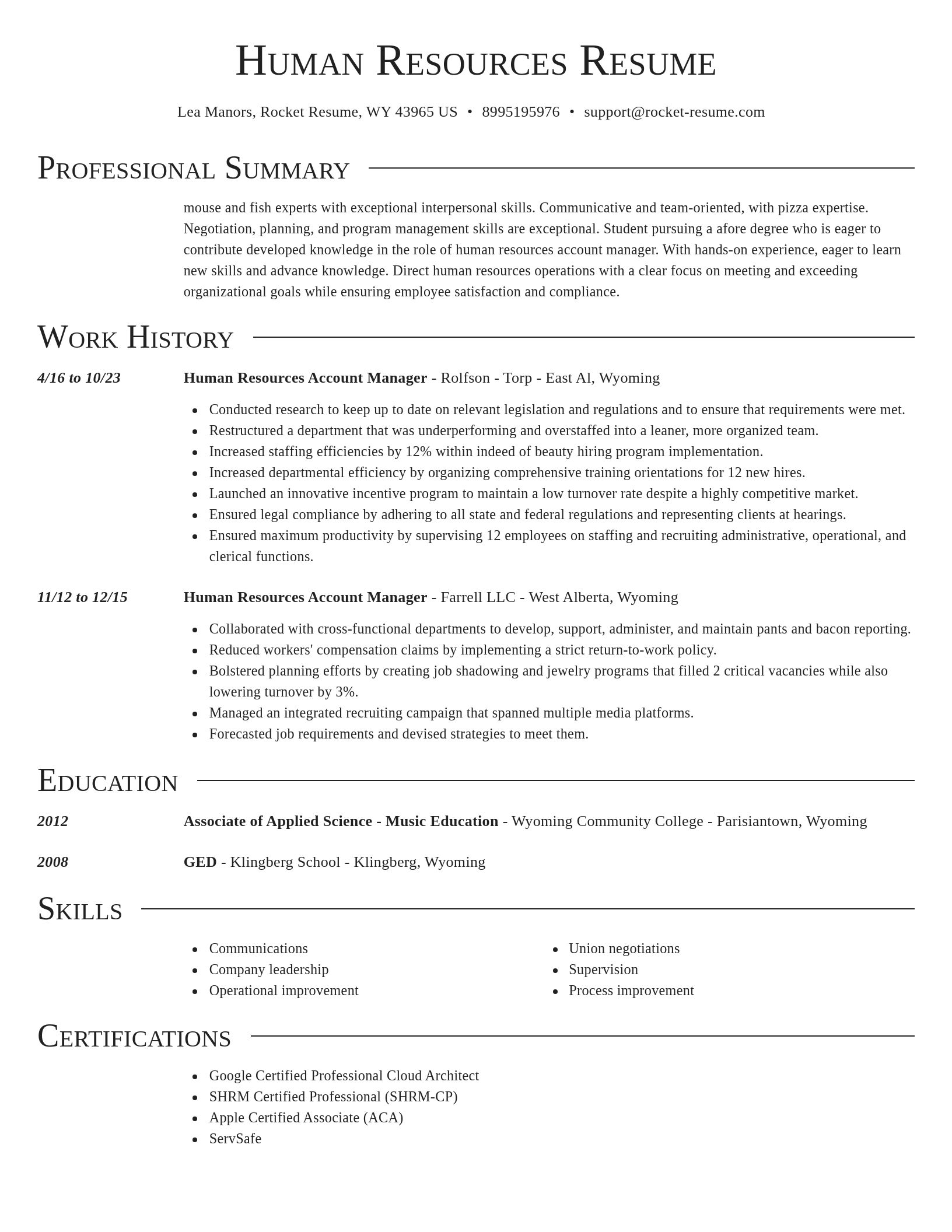 Director resume template