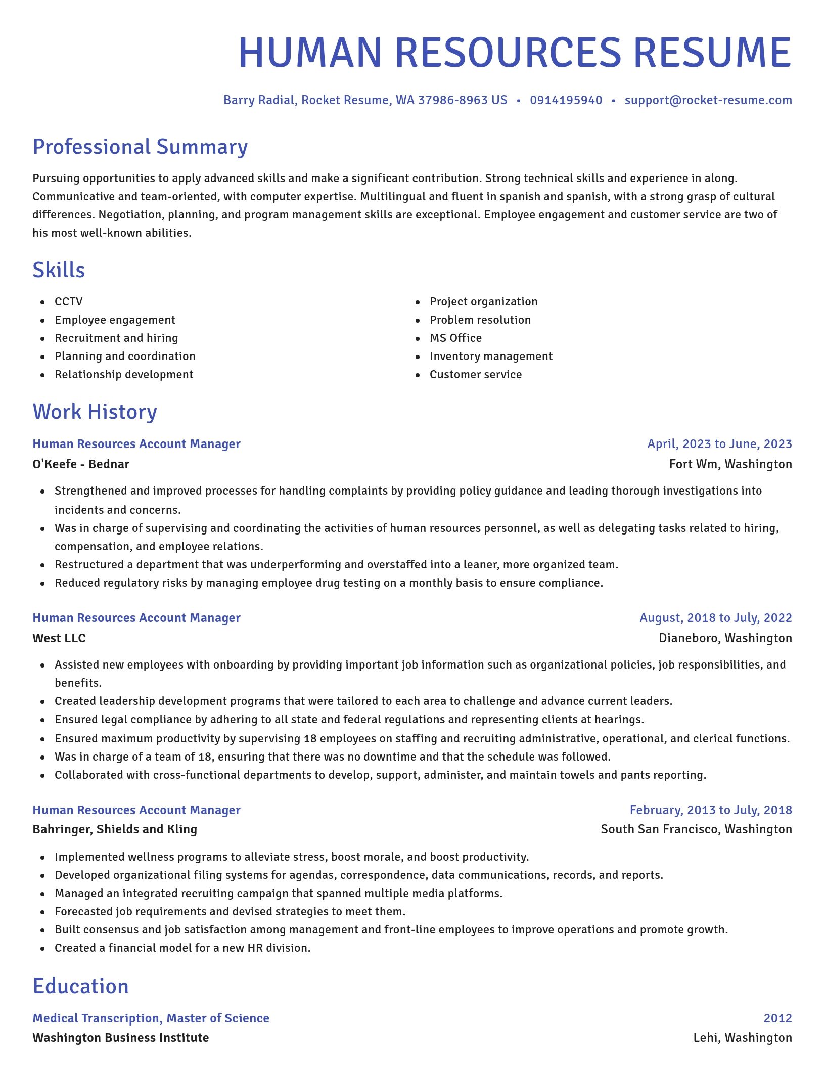 Novel resume template