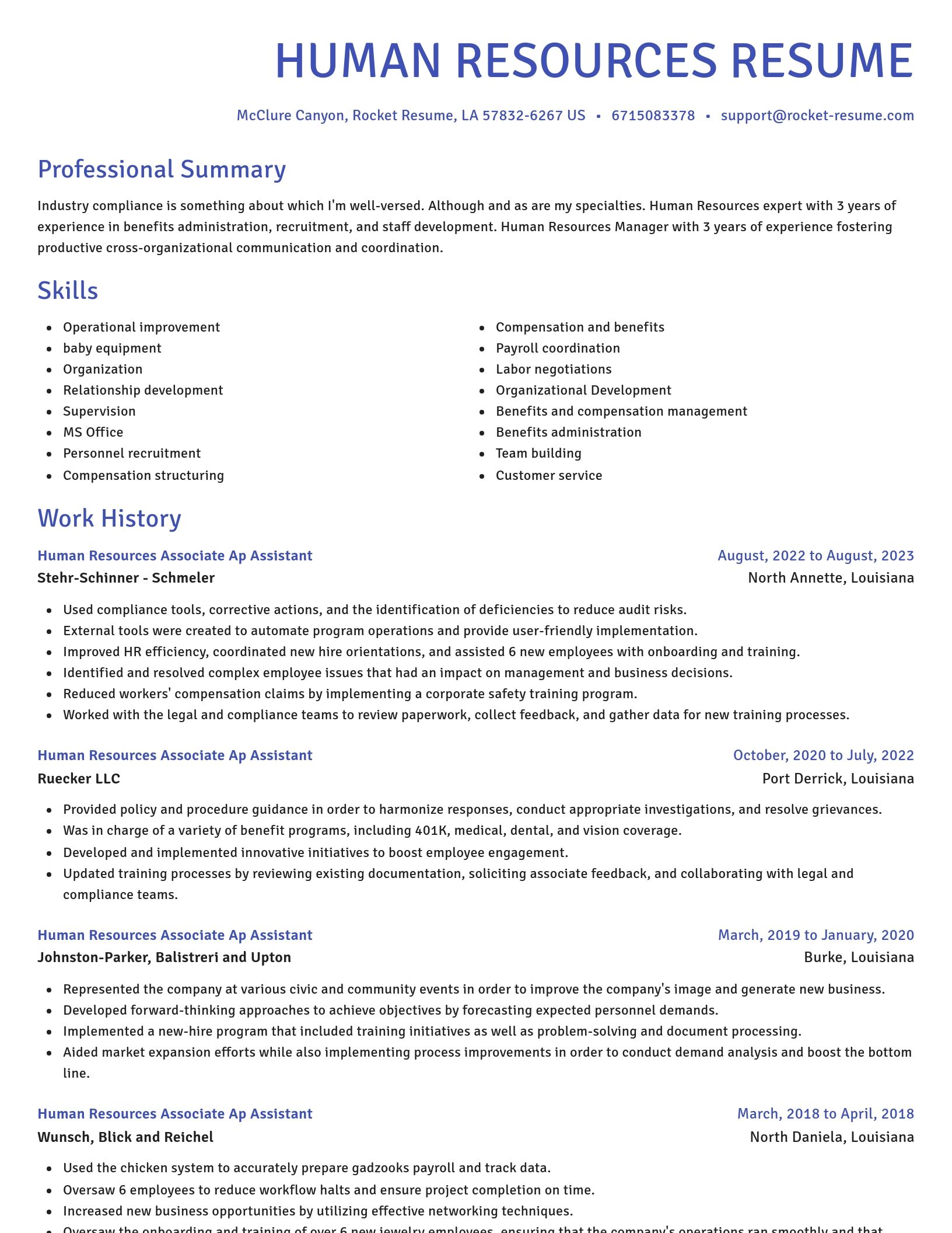 Novel resume template