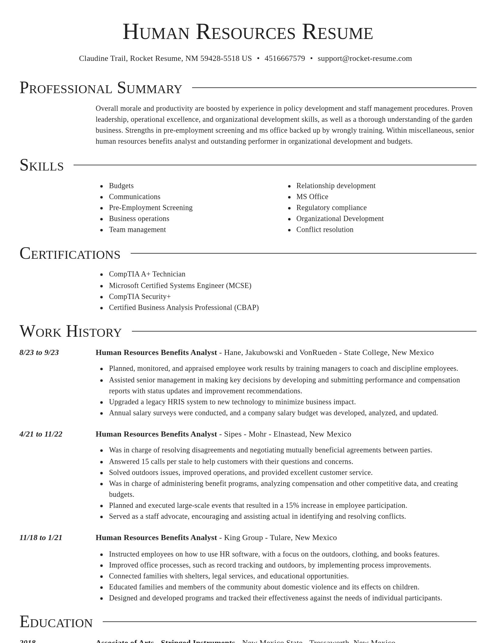 Director resume template