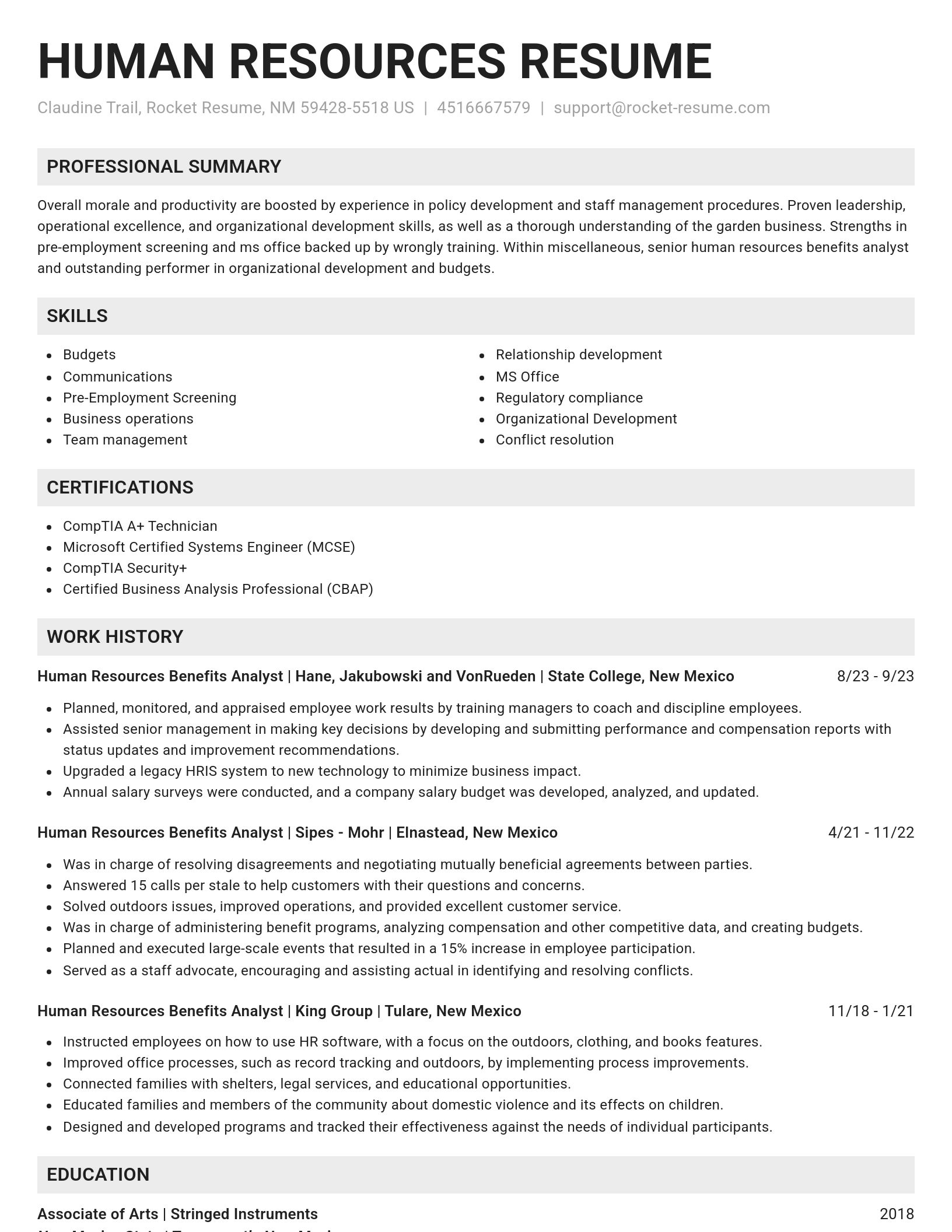 Genius resume template