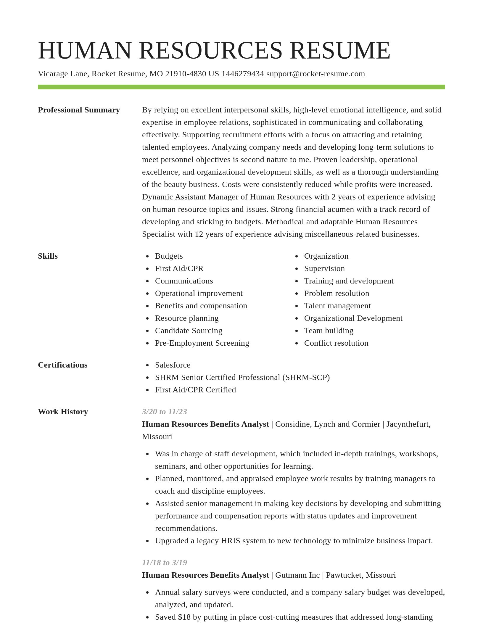 Smart resume template