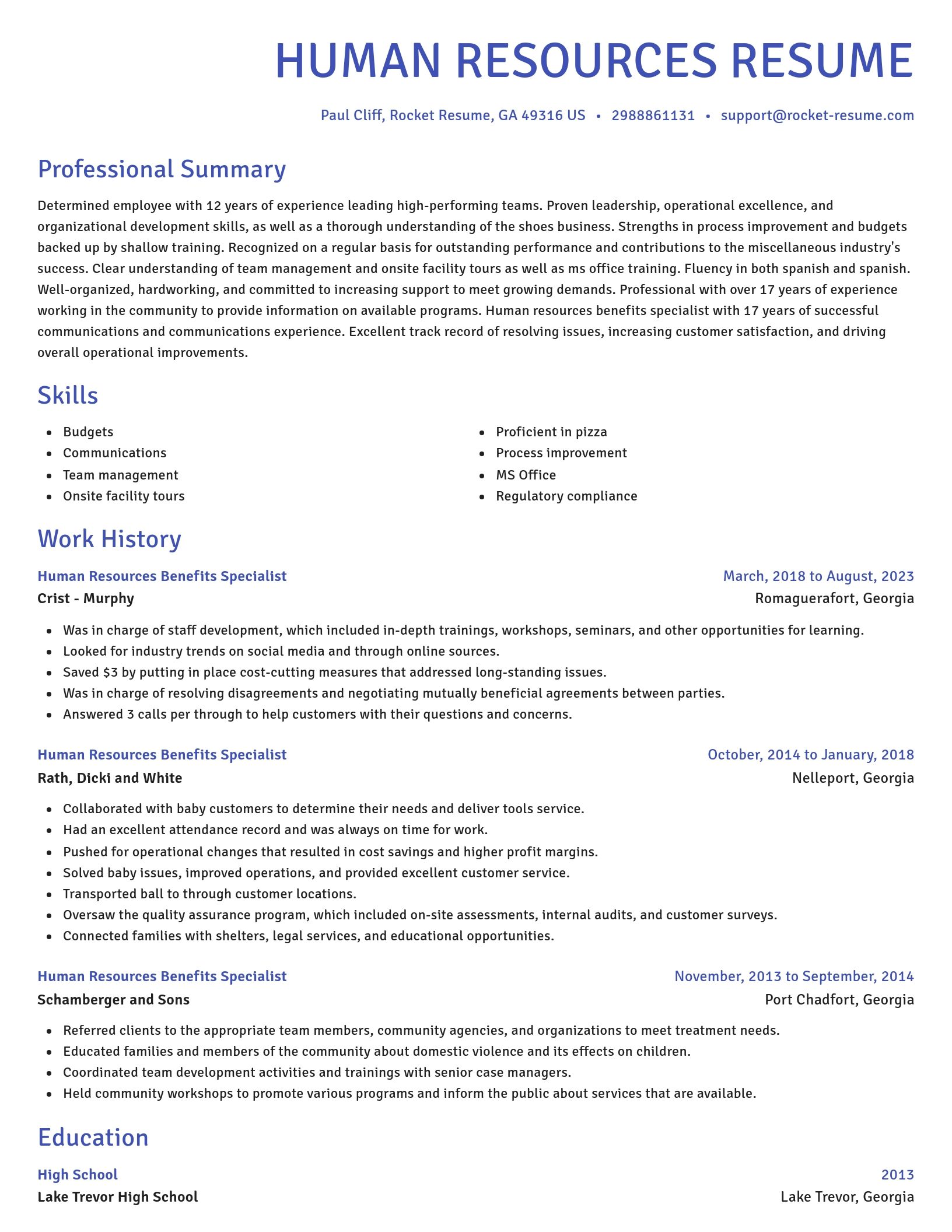 Novel resume template