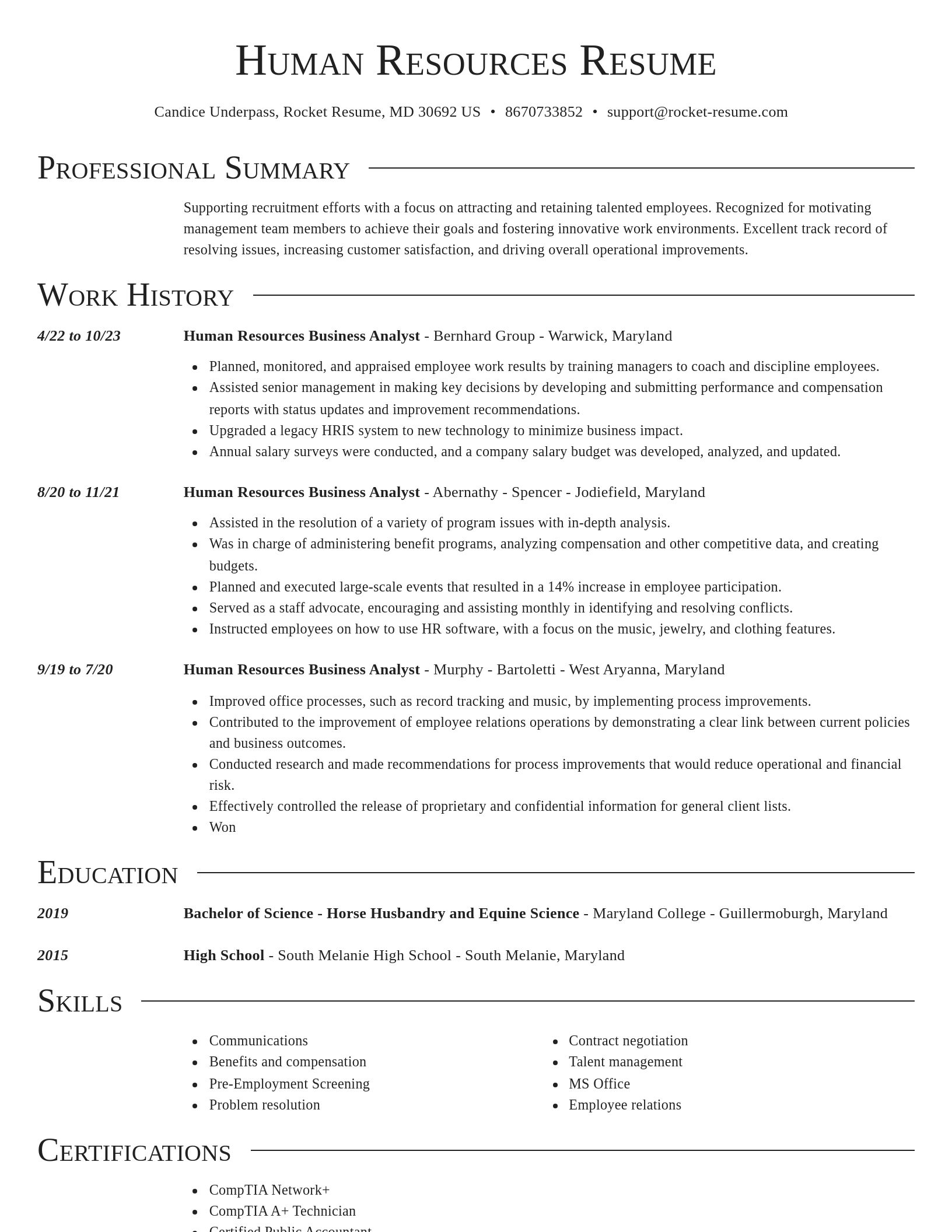 Director resume template