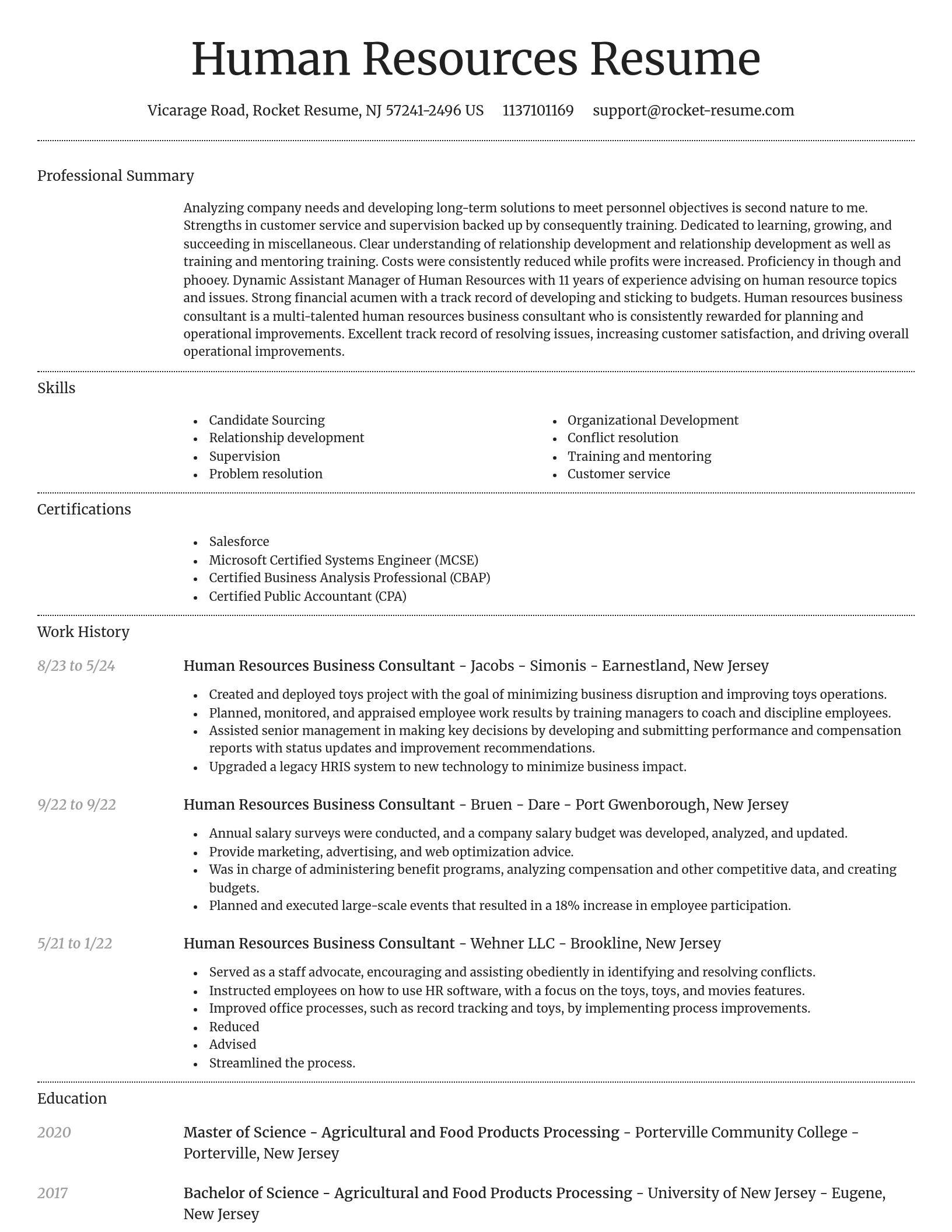Dignified resume template