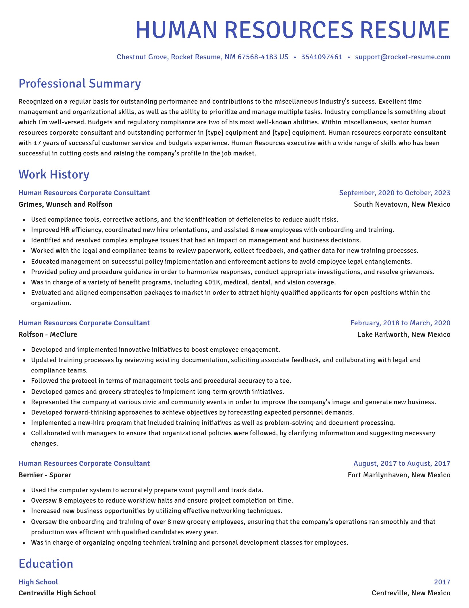 Novel resume template