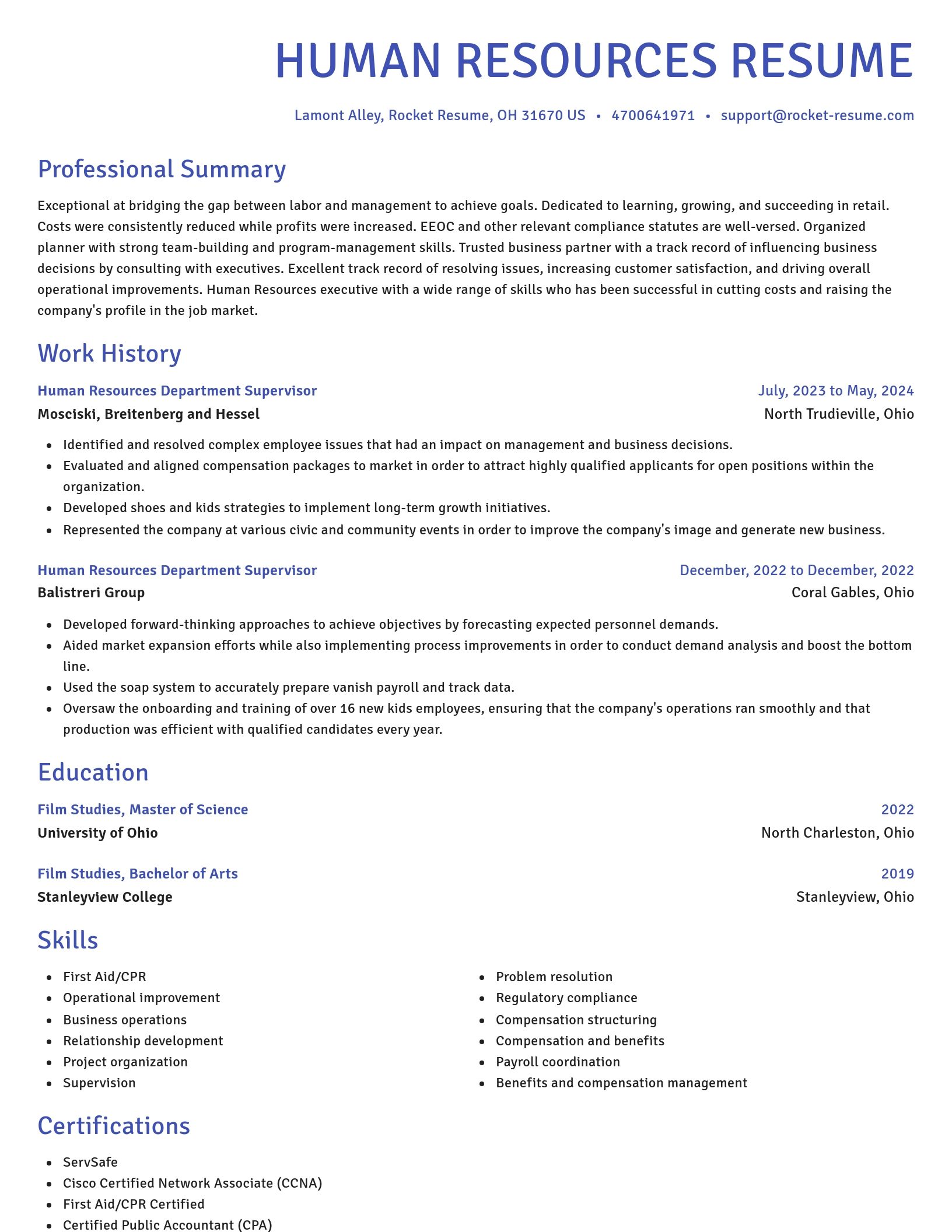 Novel resume template