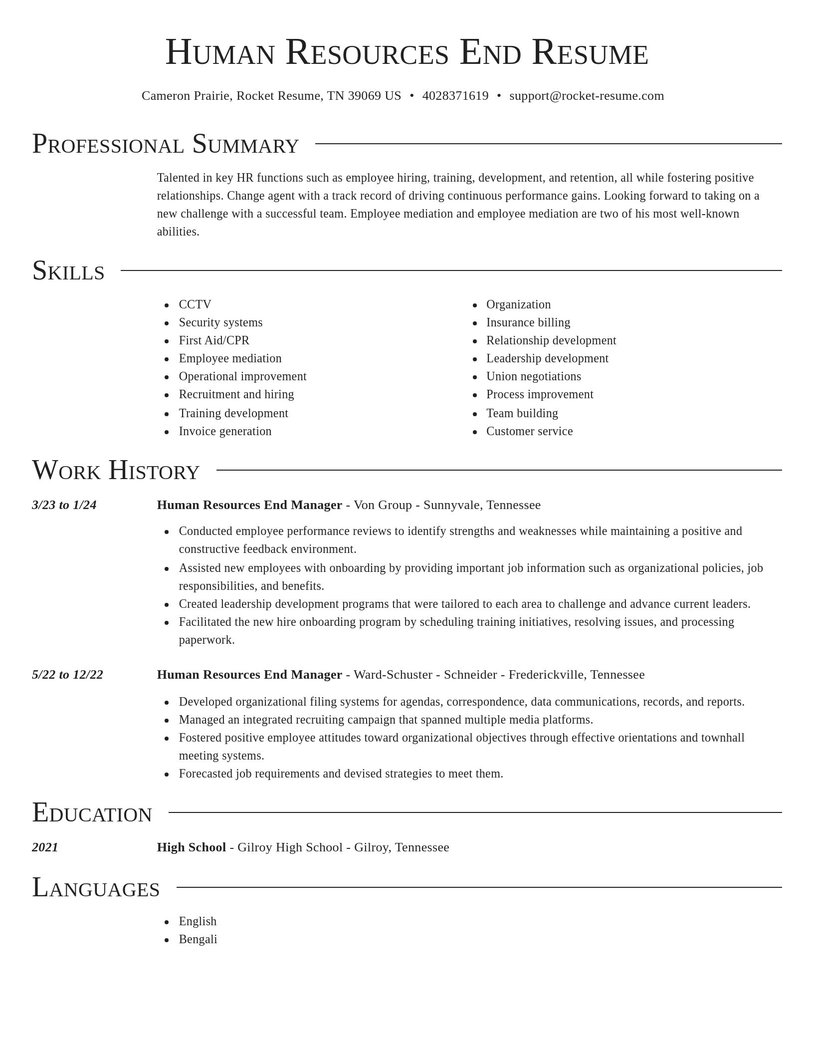 Director resume template