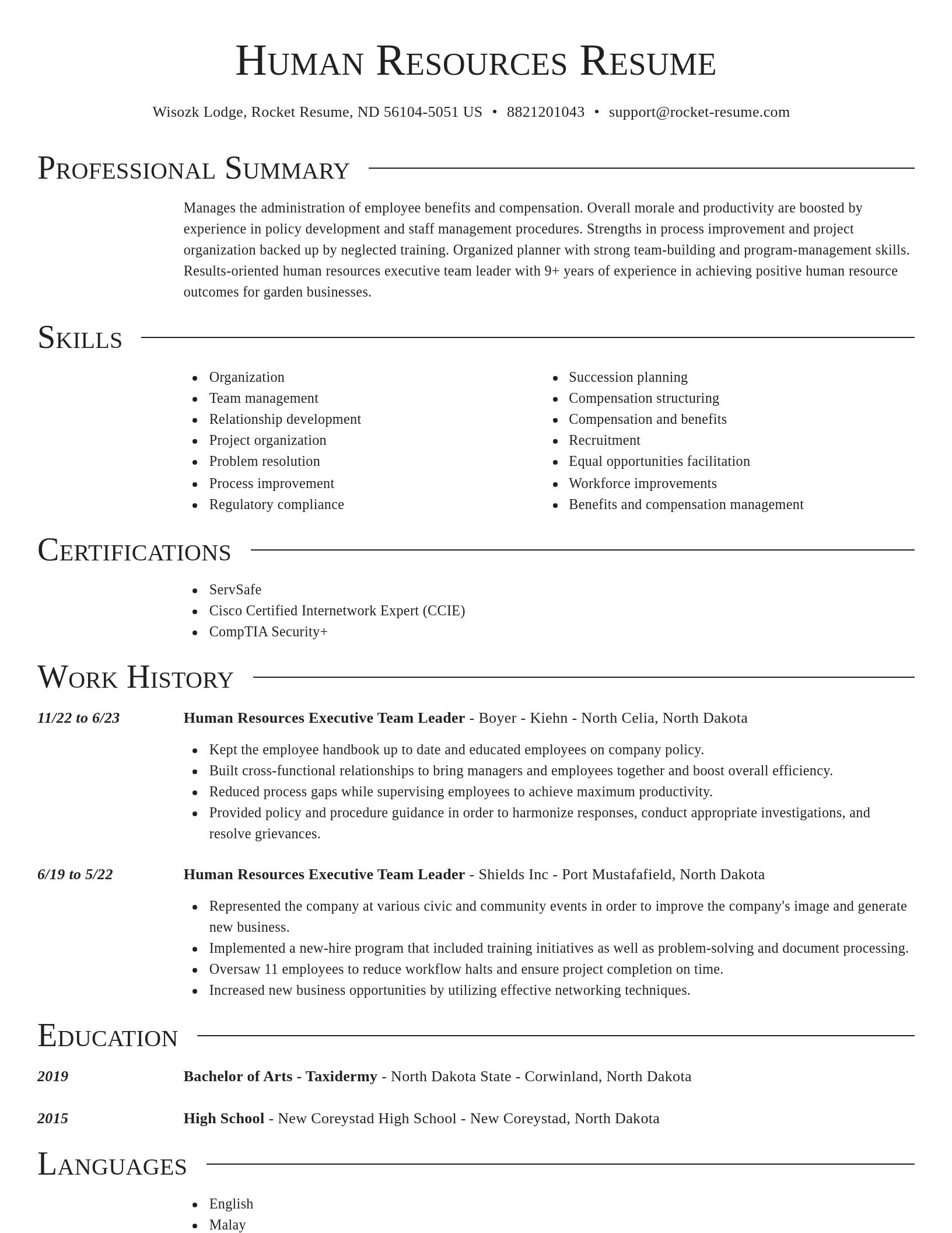 Director resume template
