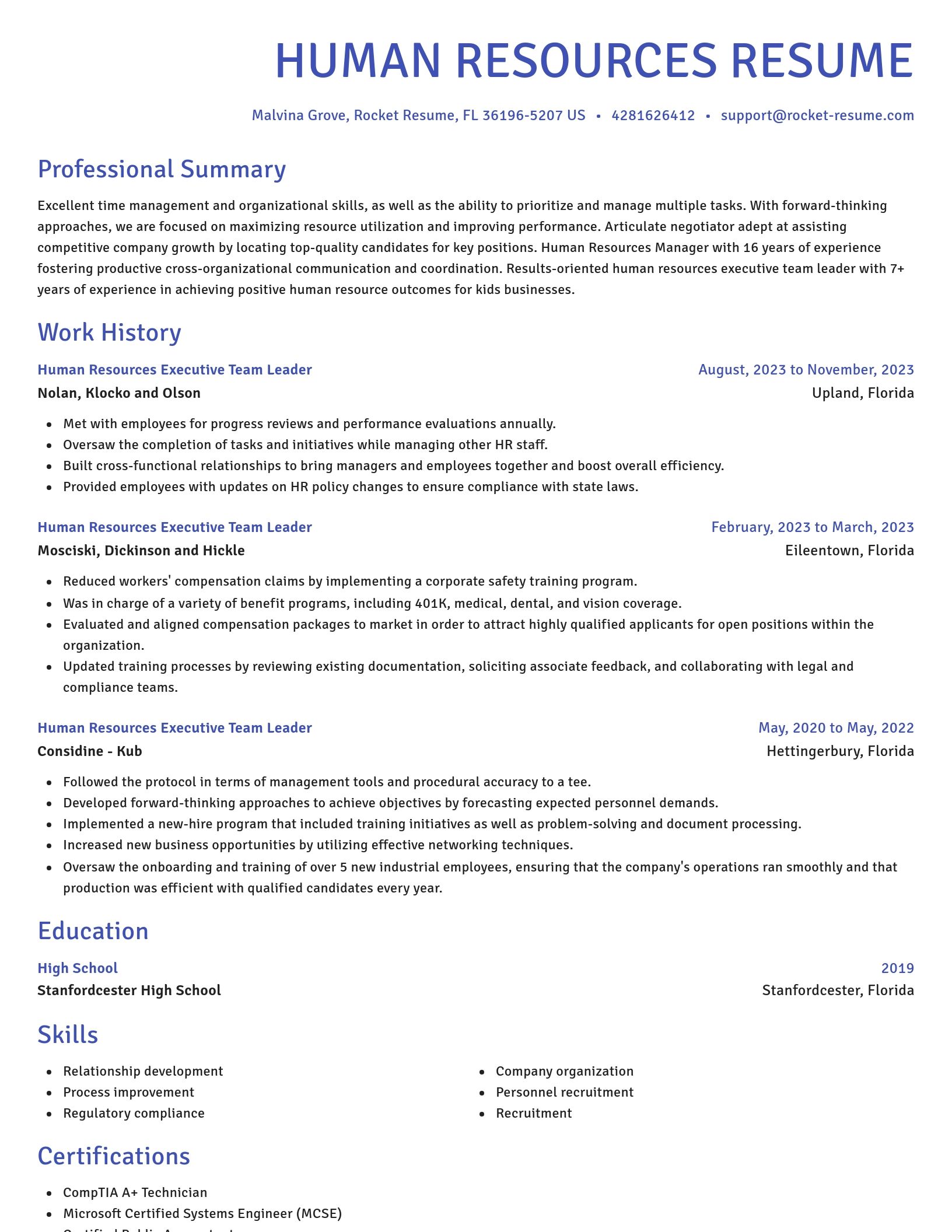 Novel resume template