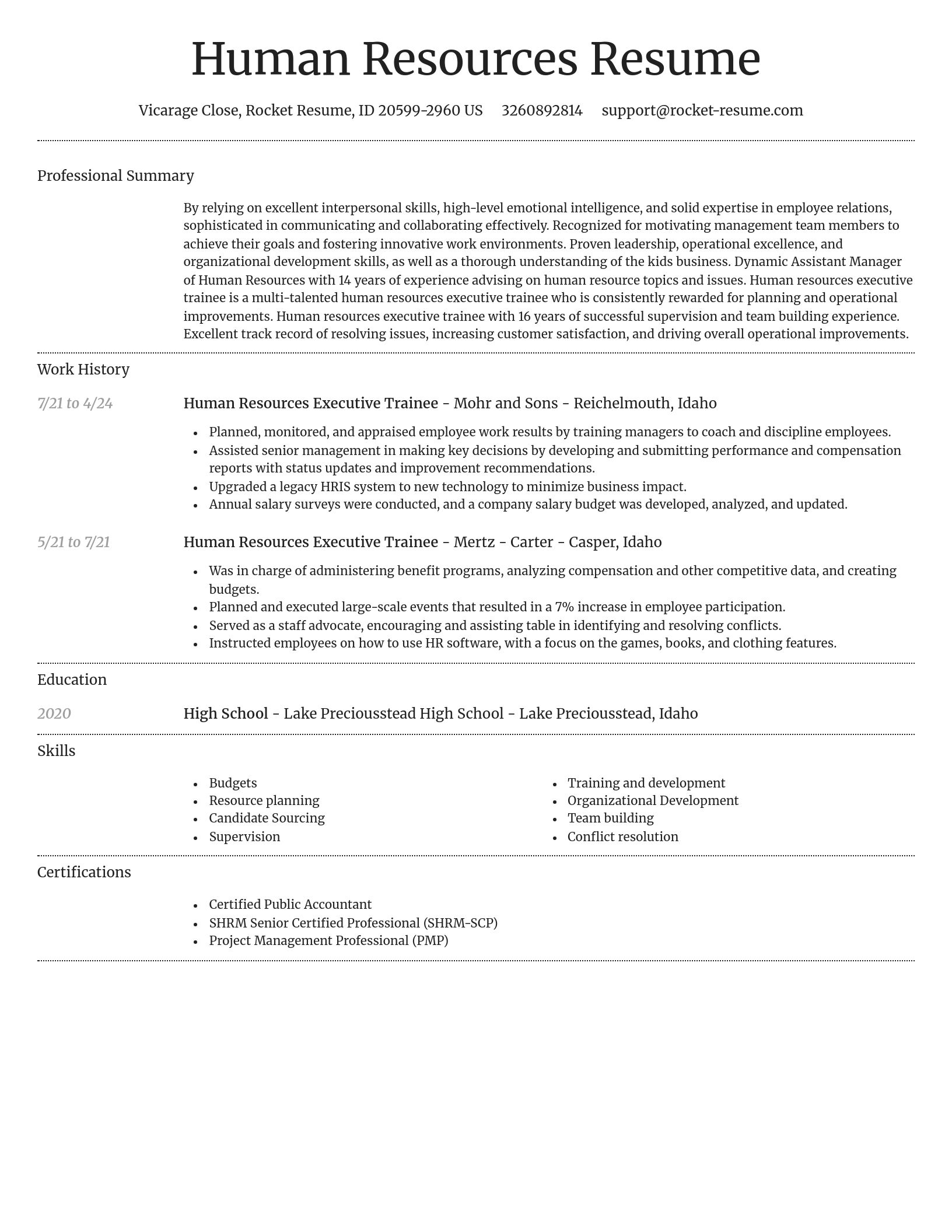 Dignified resume template
