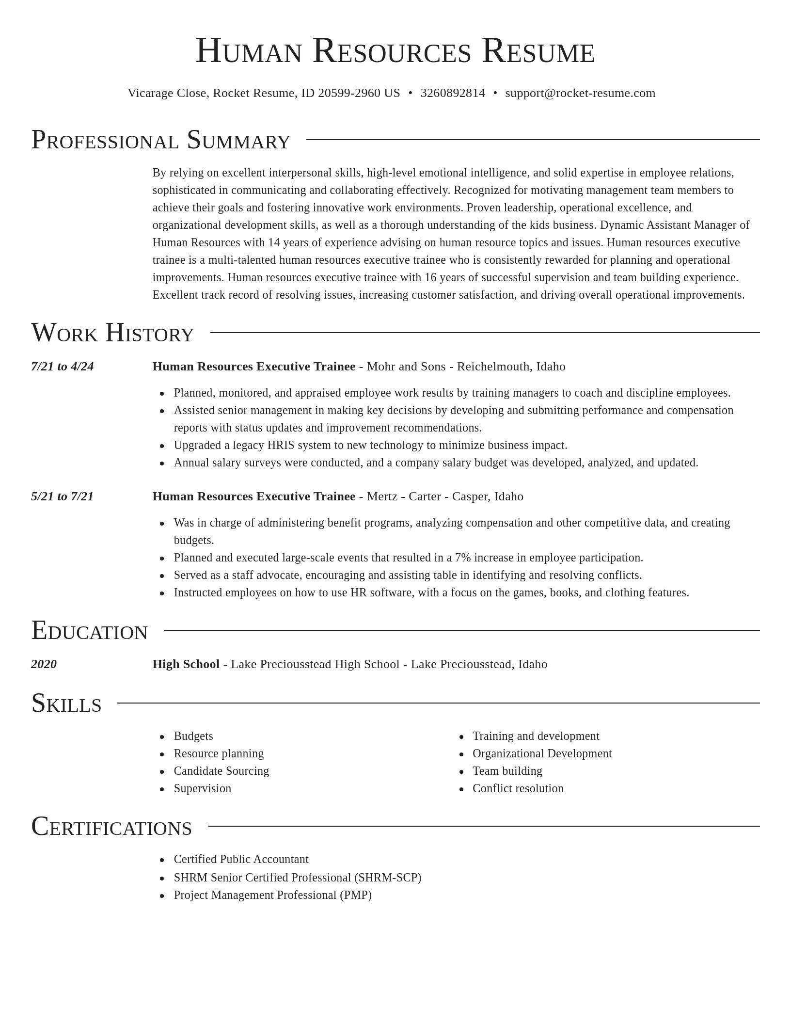 Director resume template