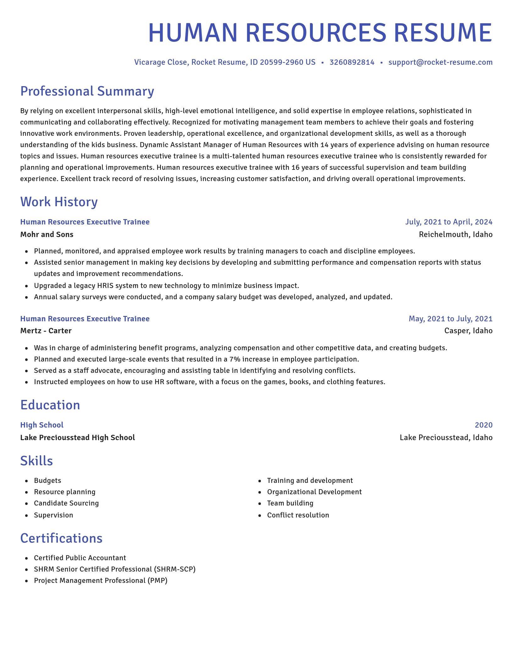 Novel resume template