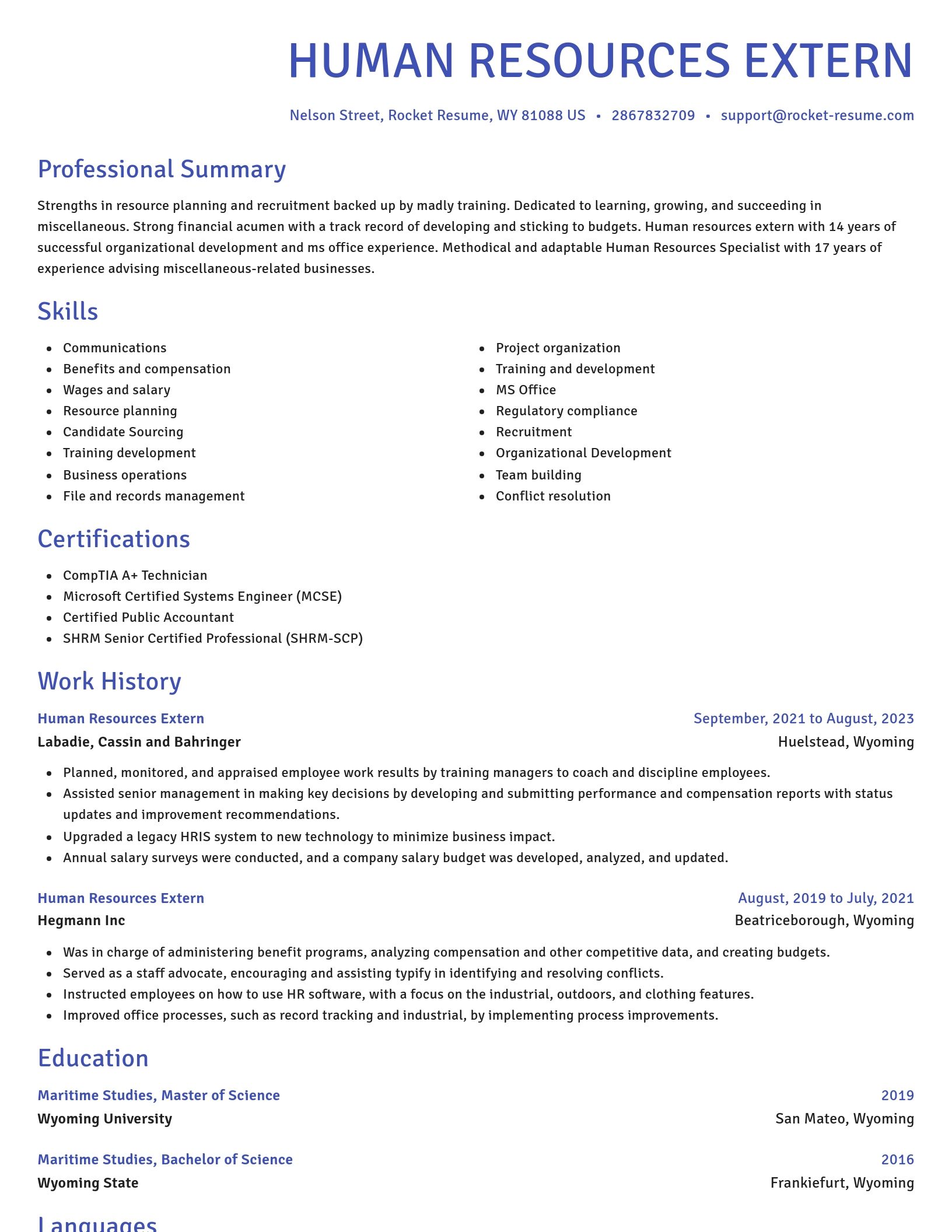 Novel resume template