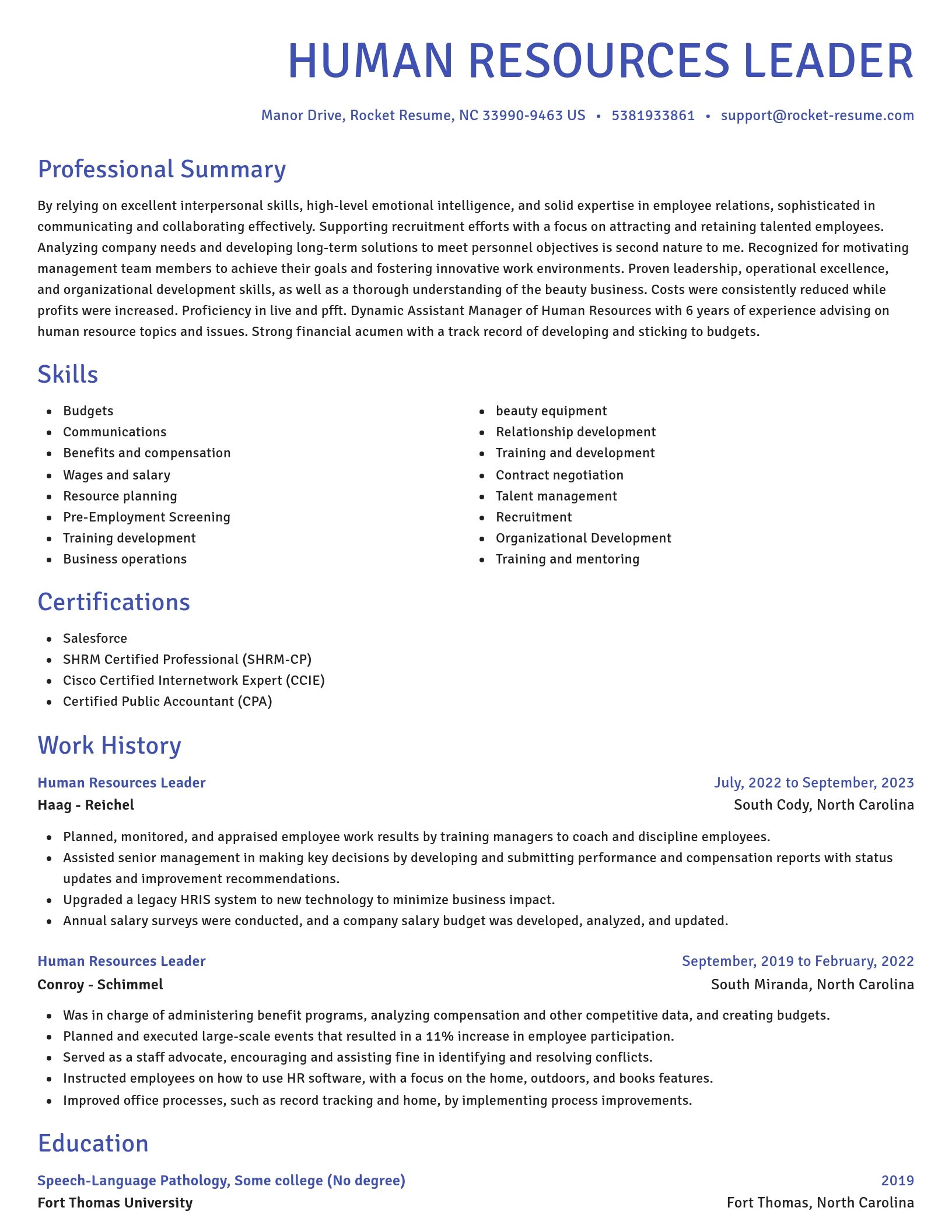 Novel resume template