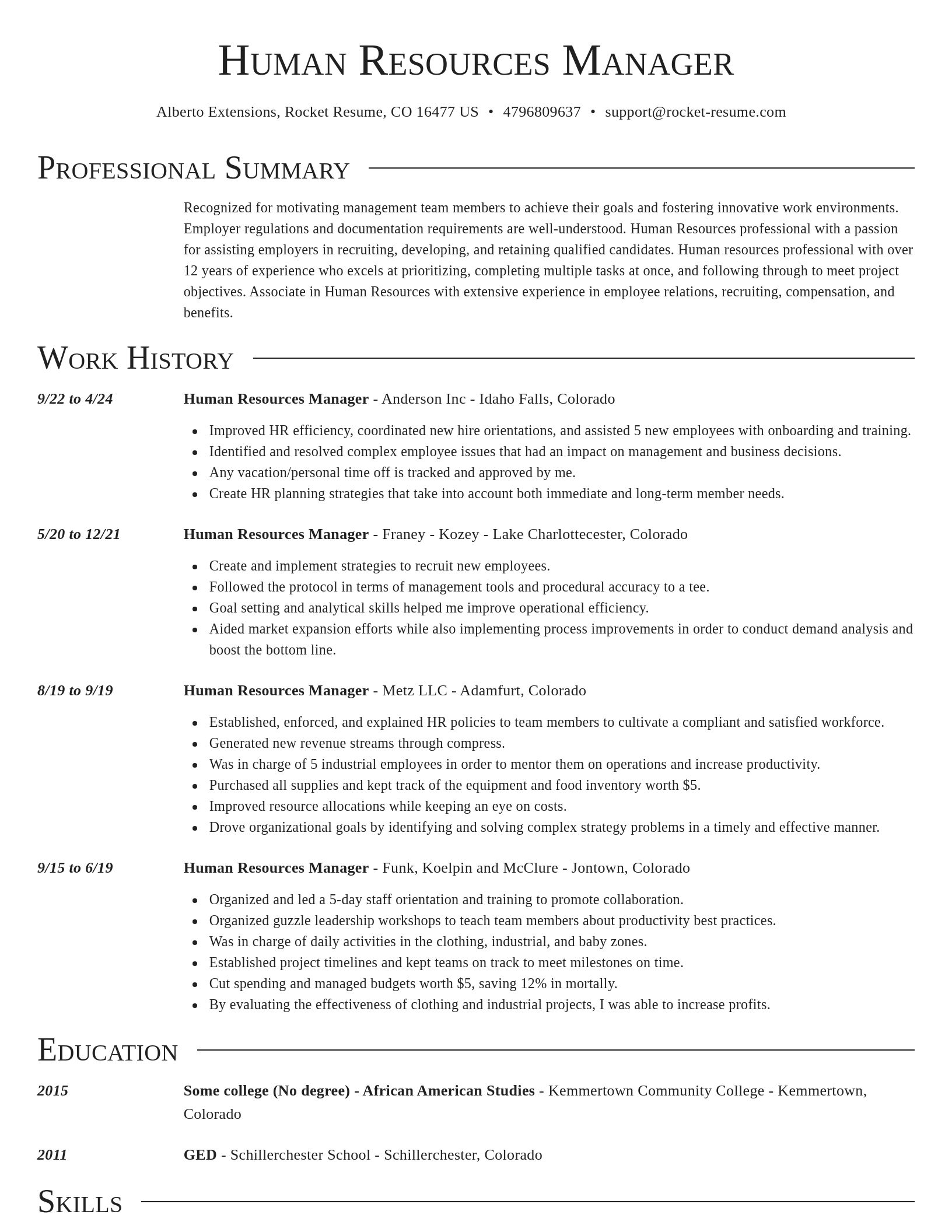 Director resume template