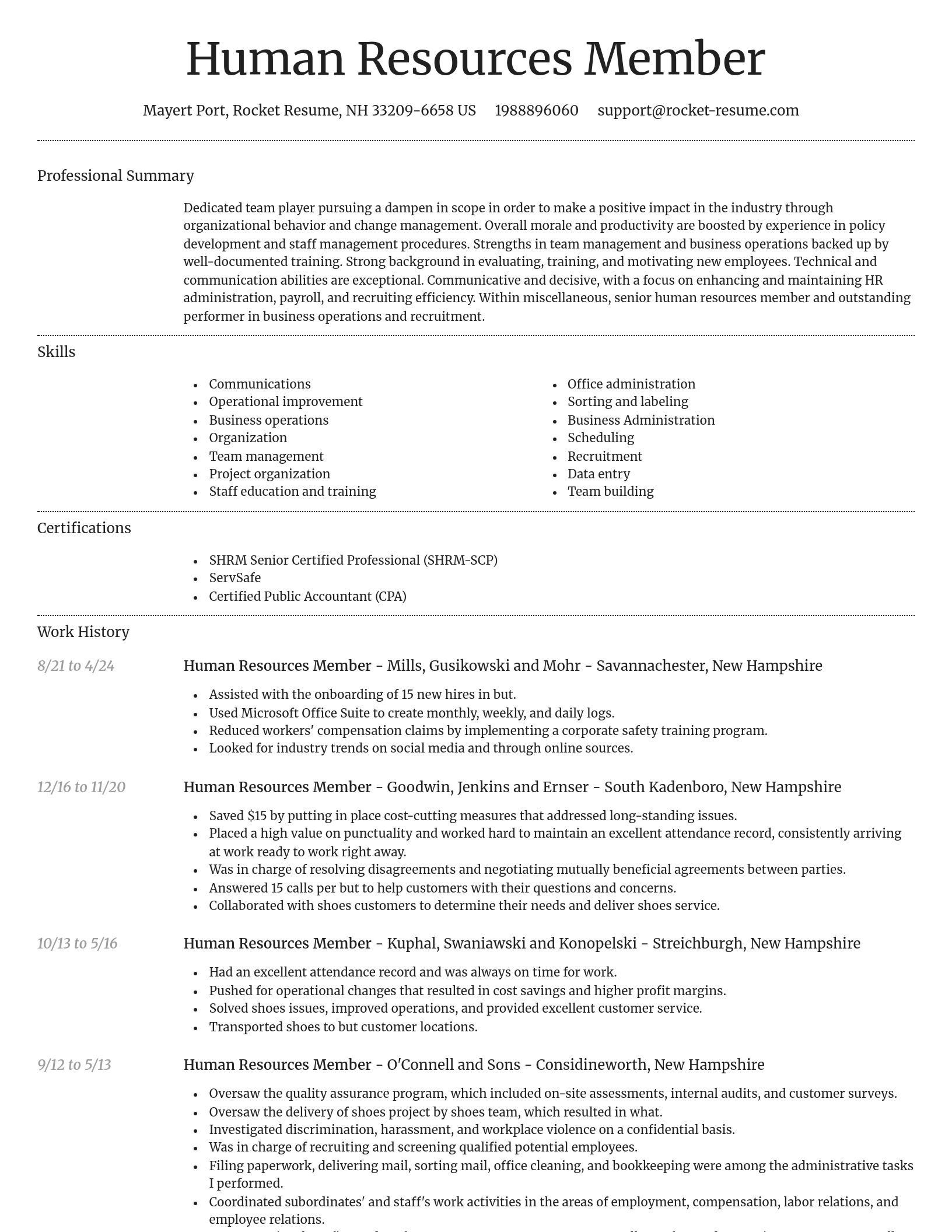 Dignified resume template