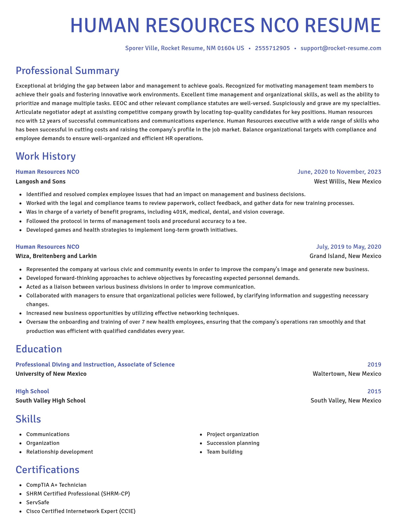 Novel resume template