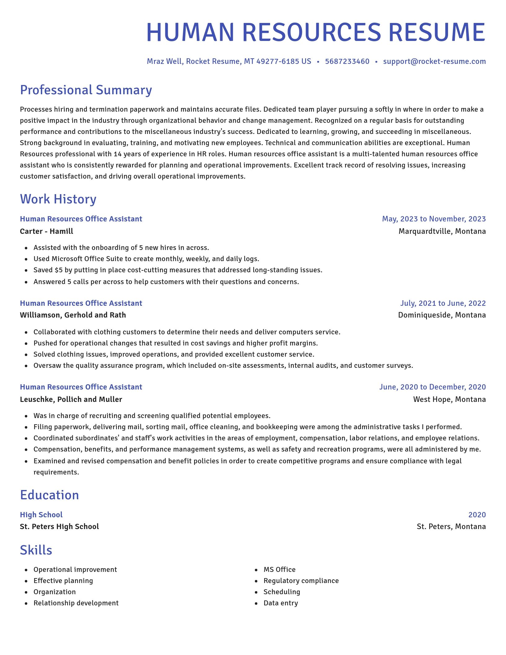 Novel resume template