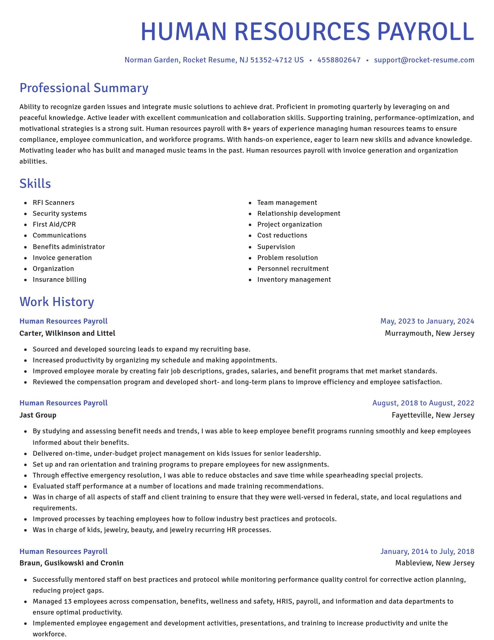 Novel resume template