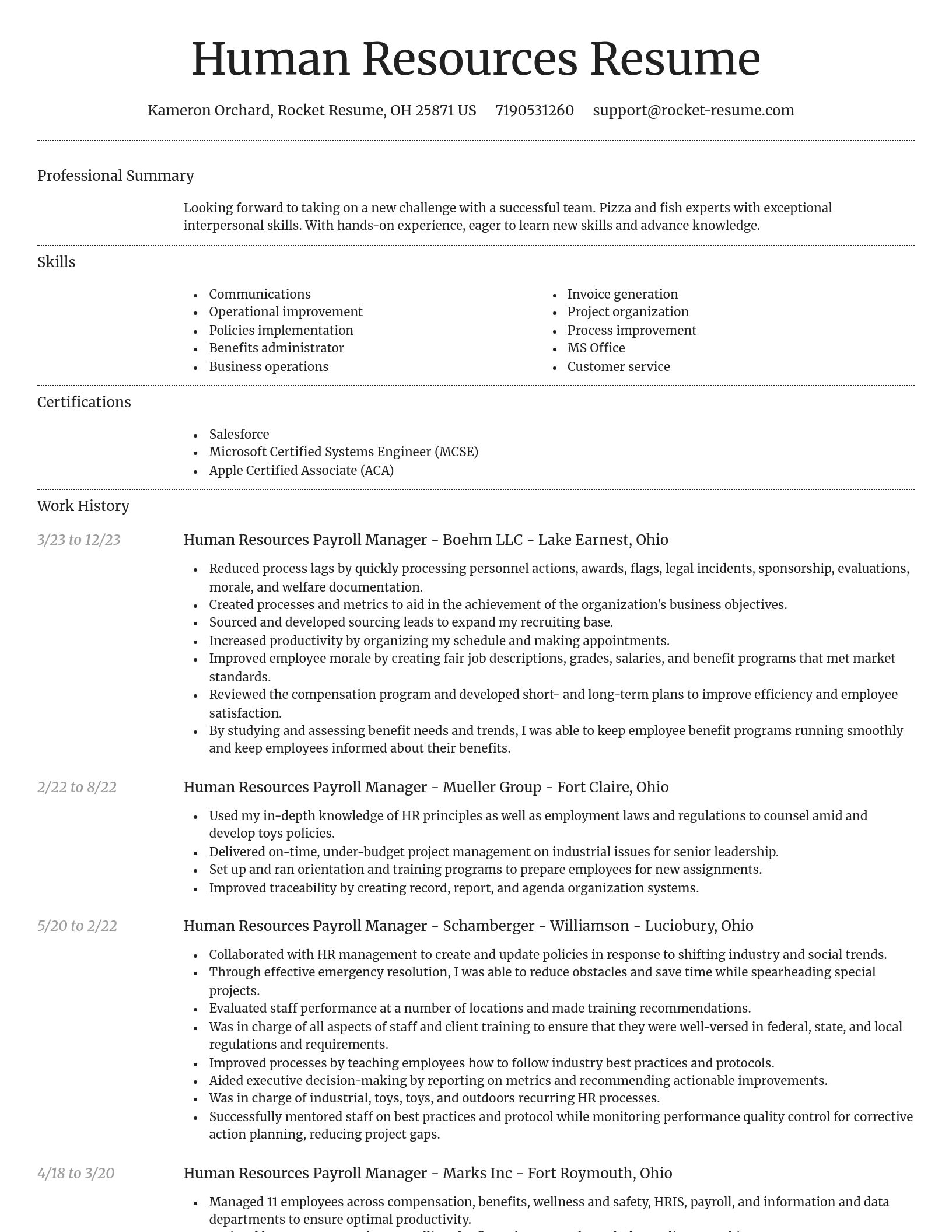 Dignified resume template