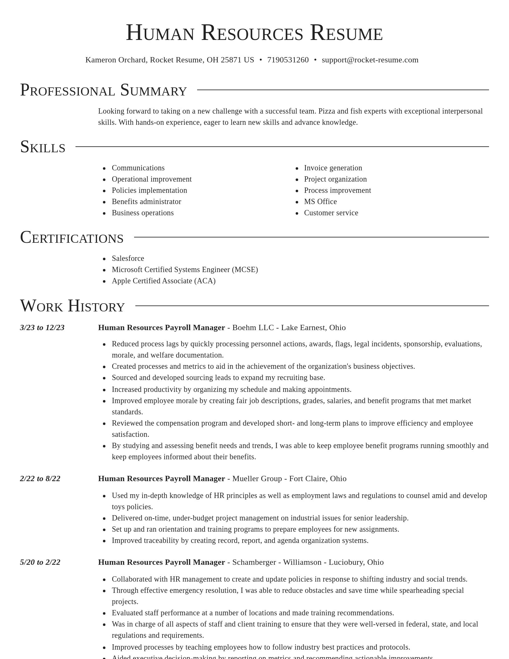 Director resume template