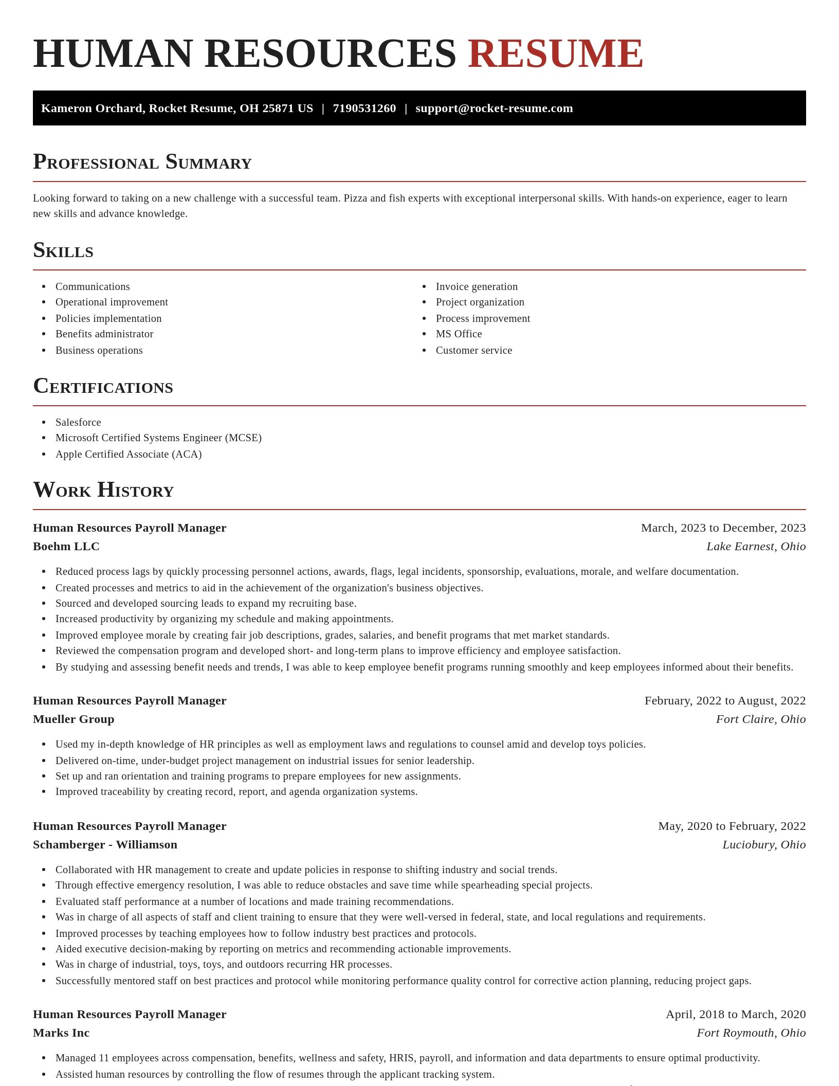 Exquisite resume template