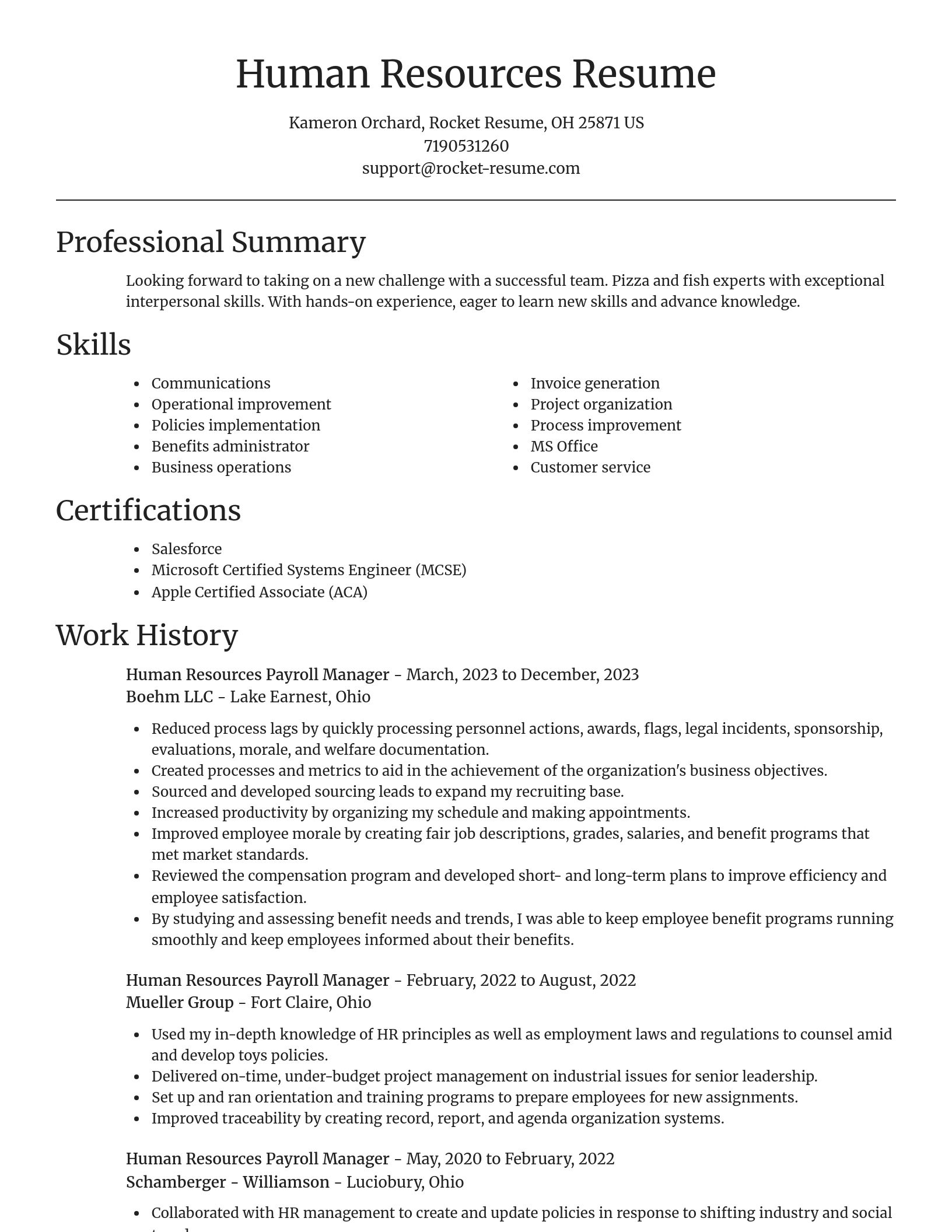 Focal Point resume template