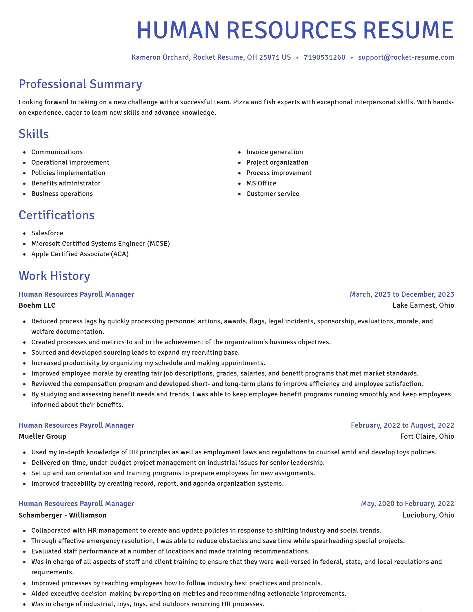 Novel resume template