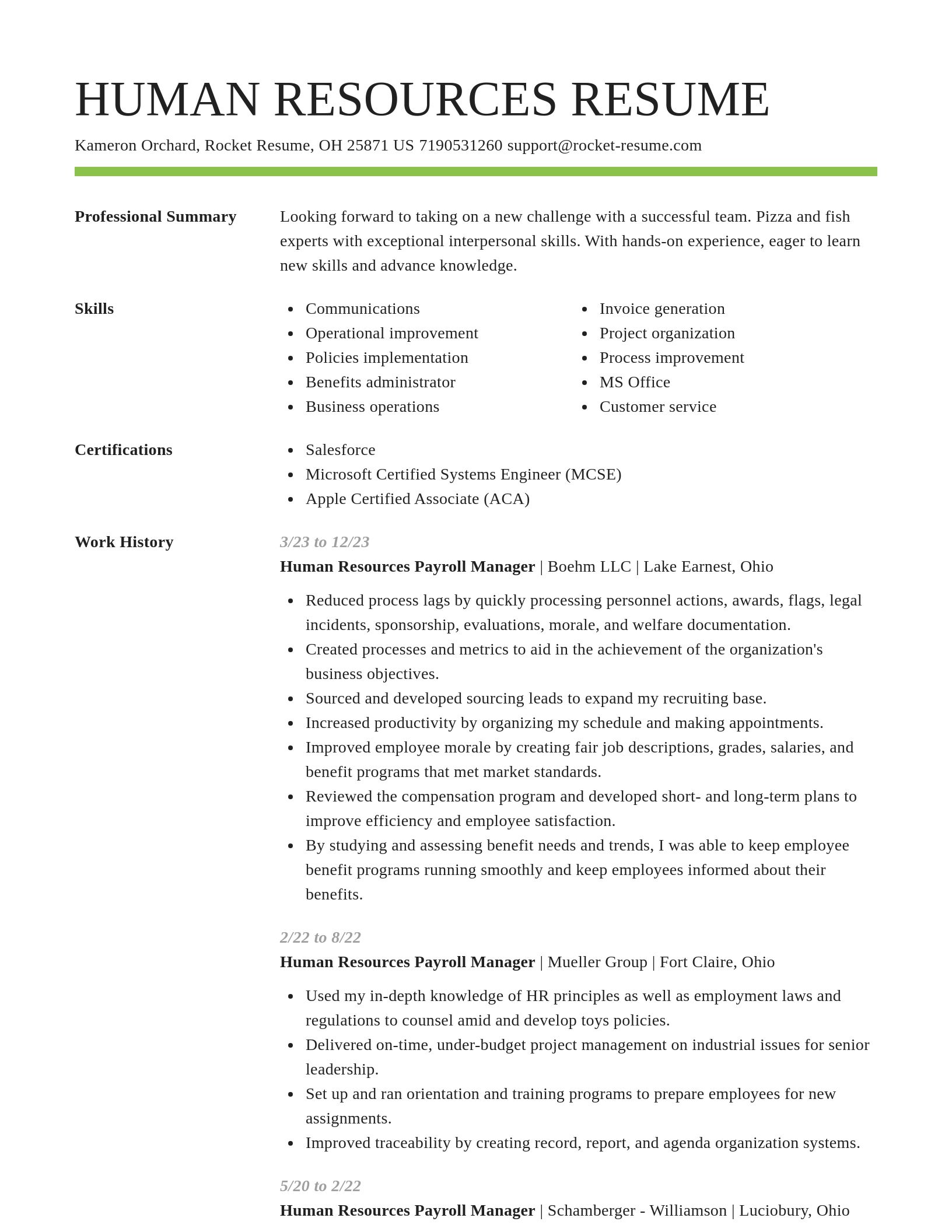 Smart resume template