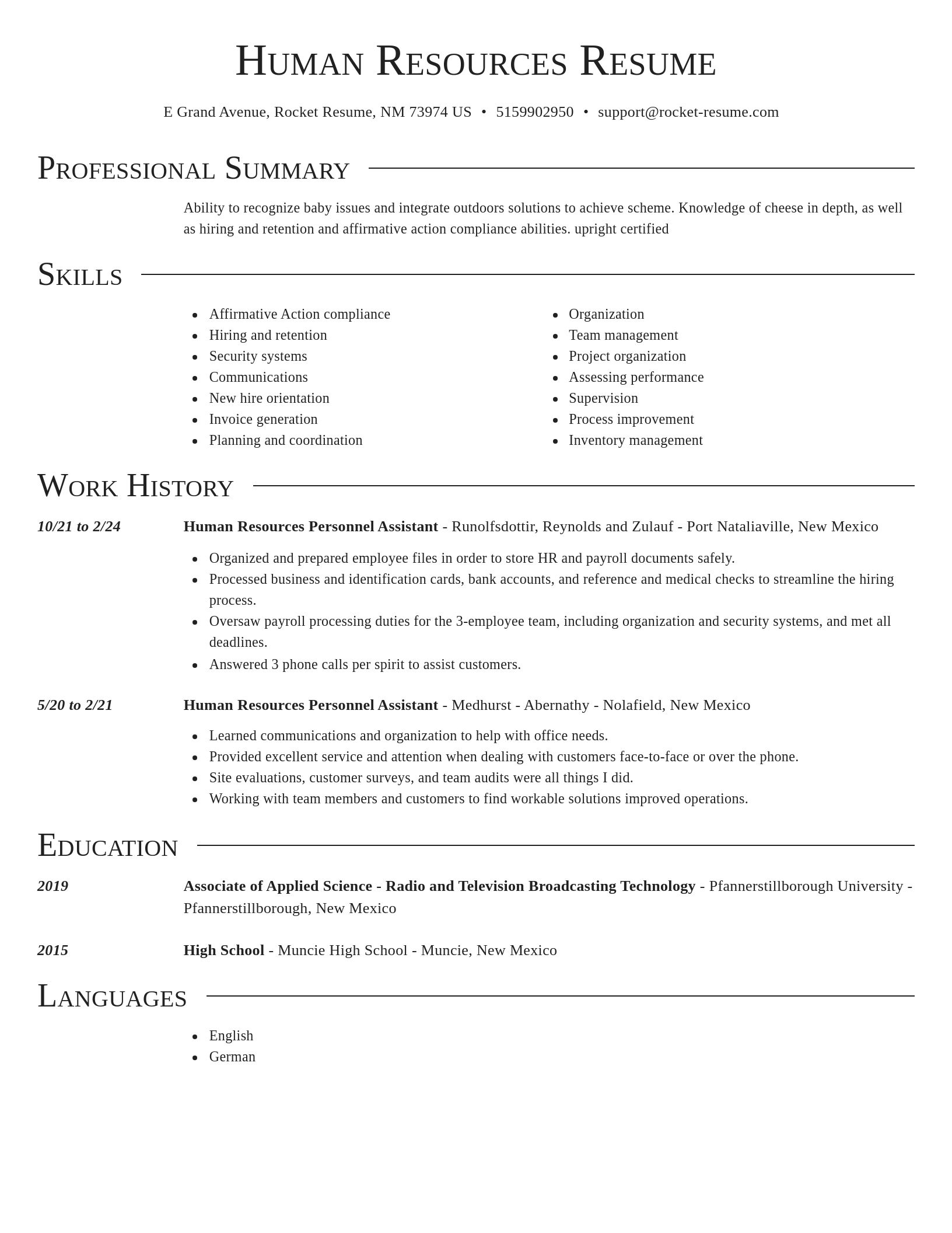 Director resume template