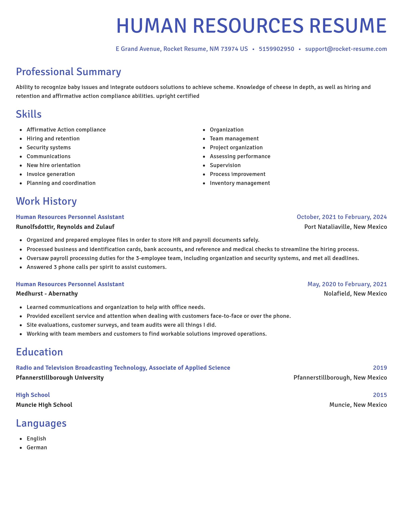 Novel resume template