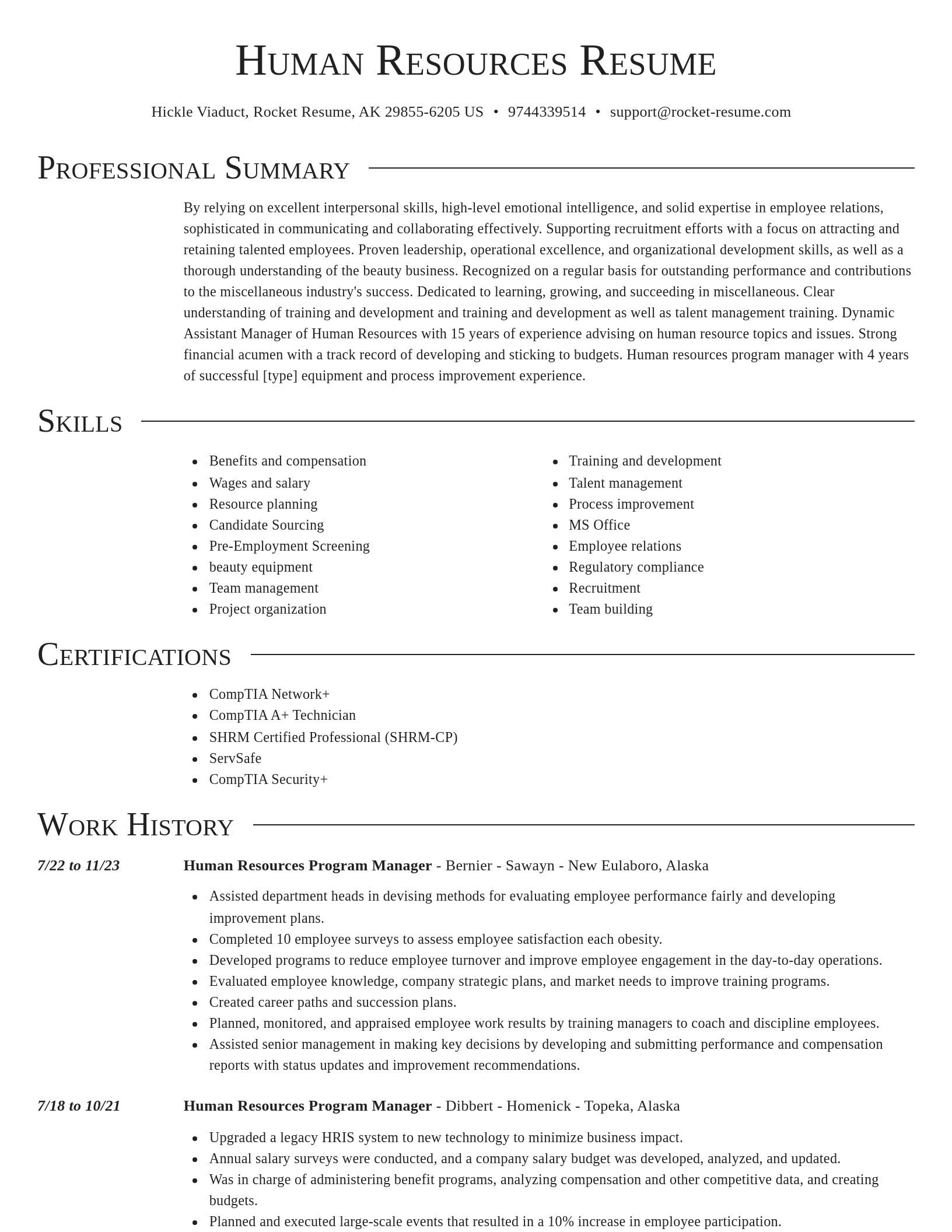 Director resume template