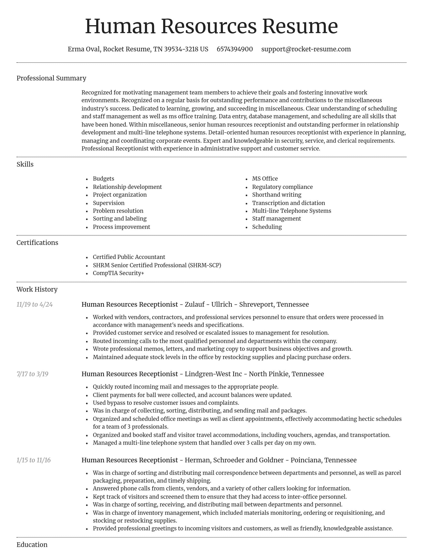 Dignified resume template