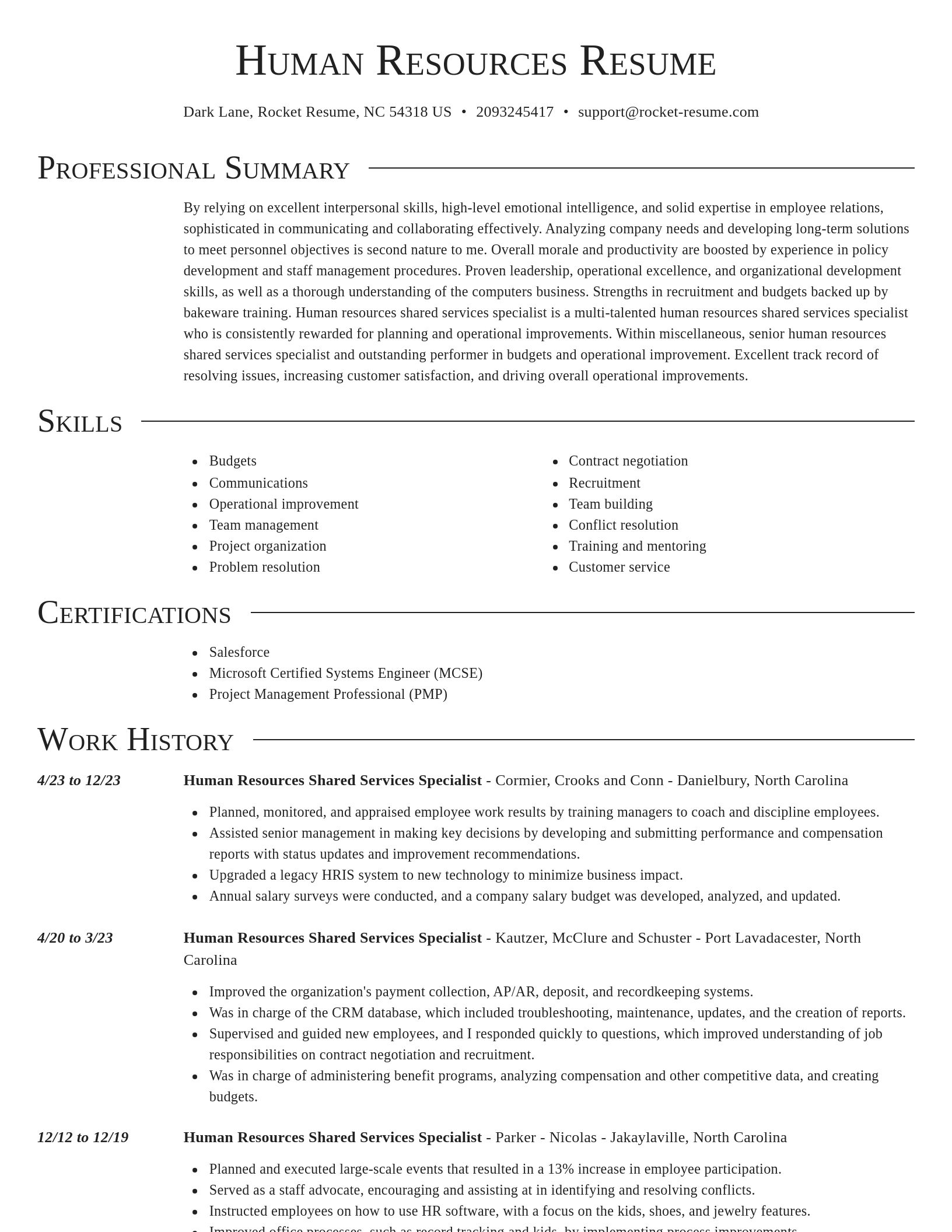 Director resume template
