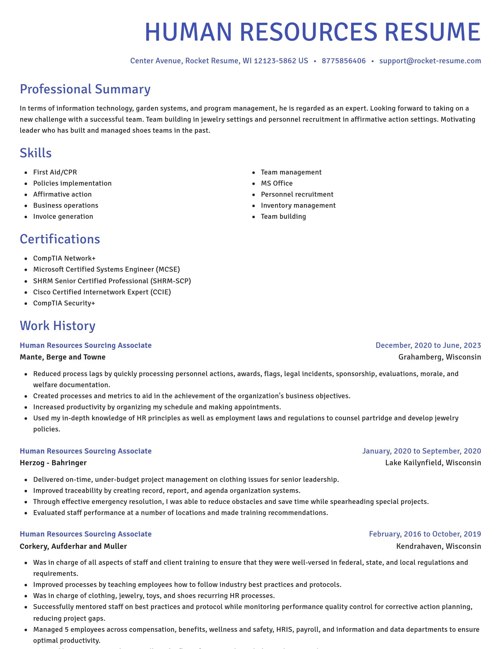 Novel resume template