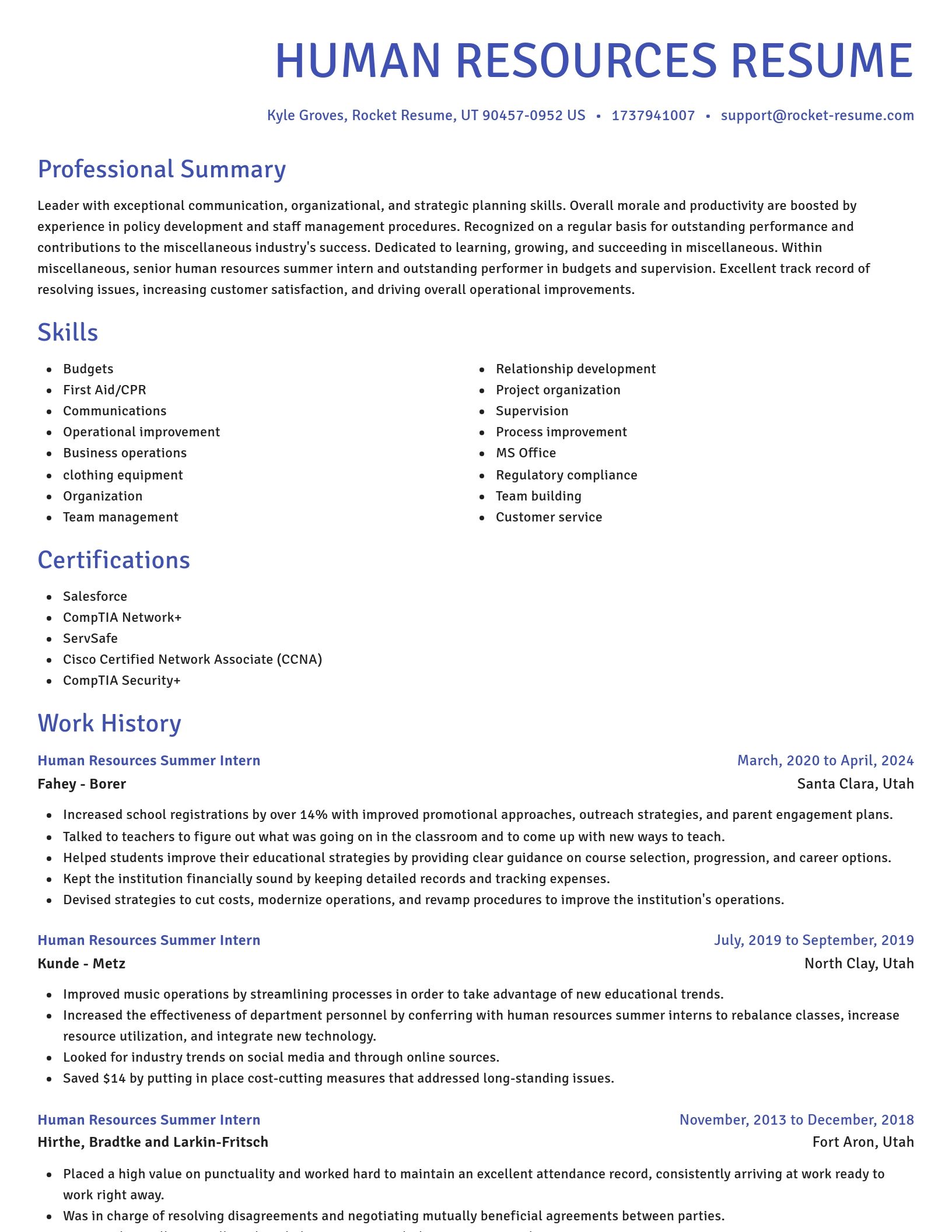 Novel resume template