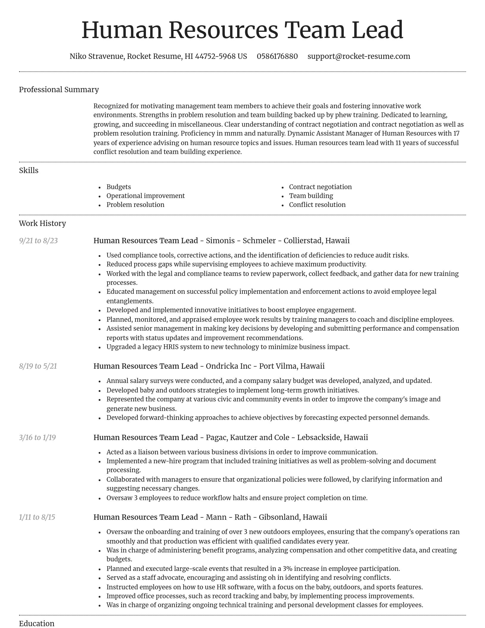 Dignified resume template