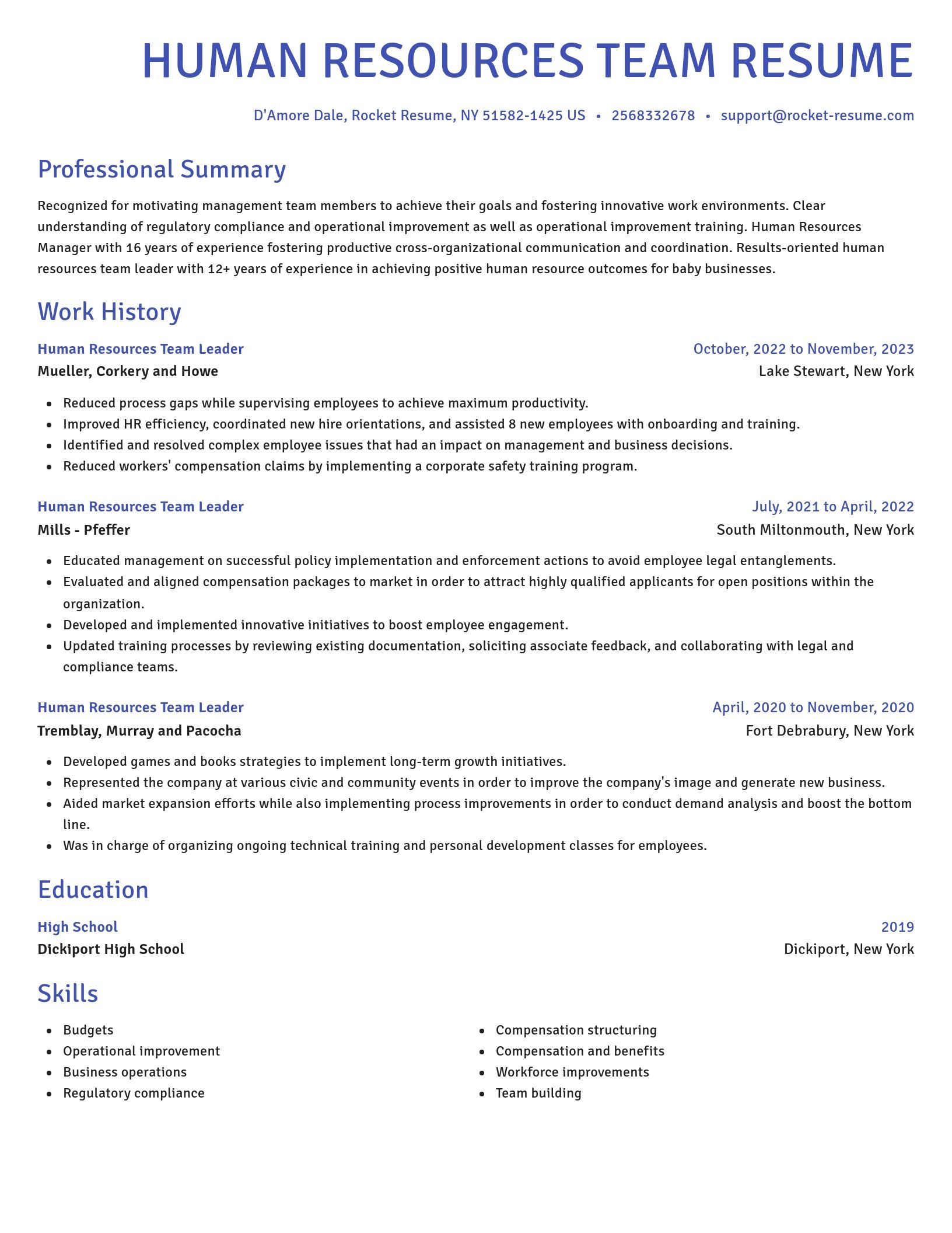 Novel resume template