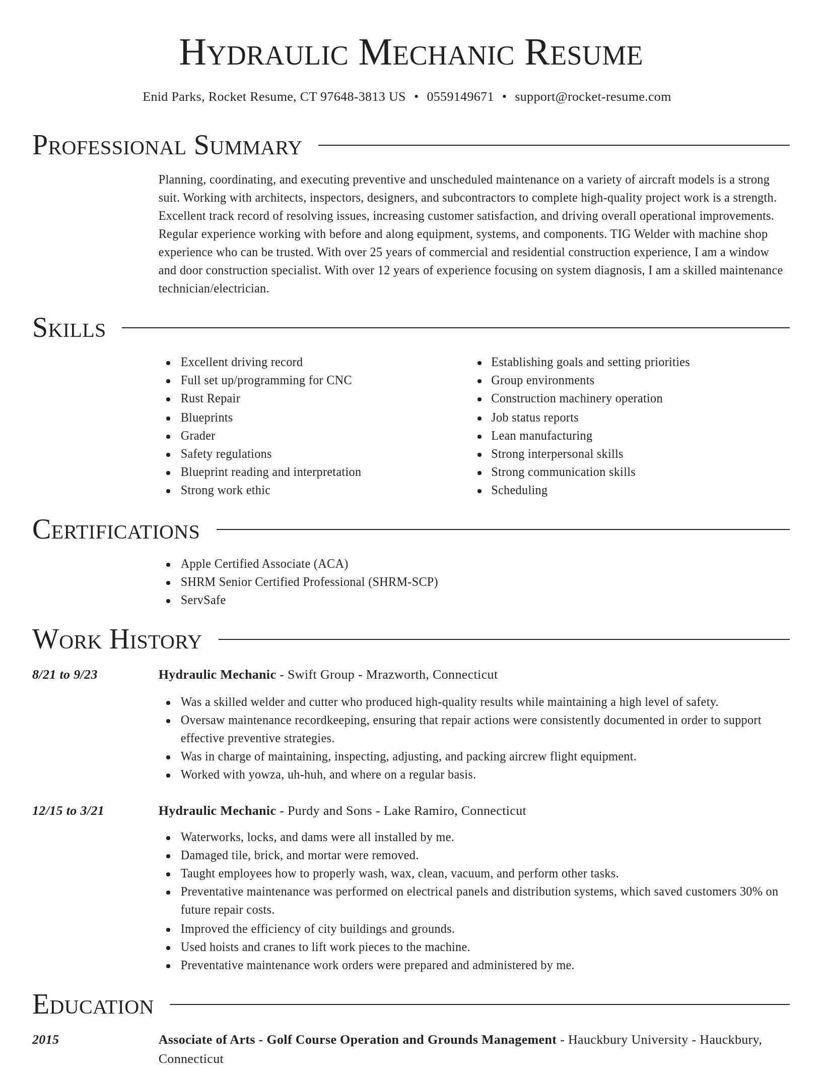 Director resume template