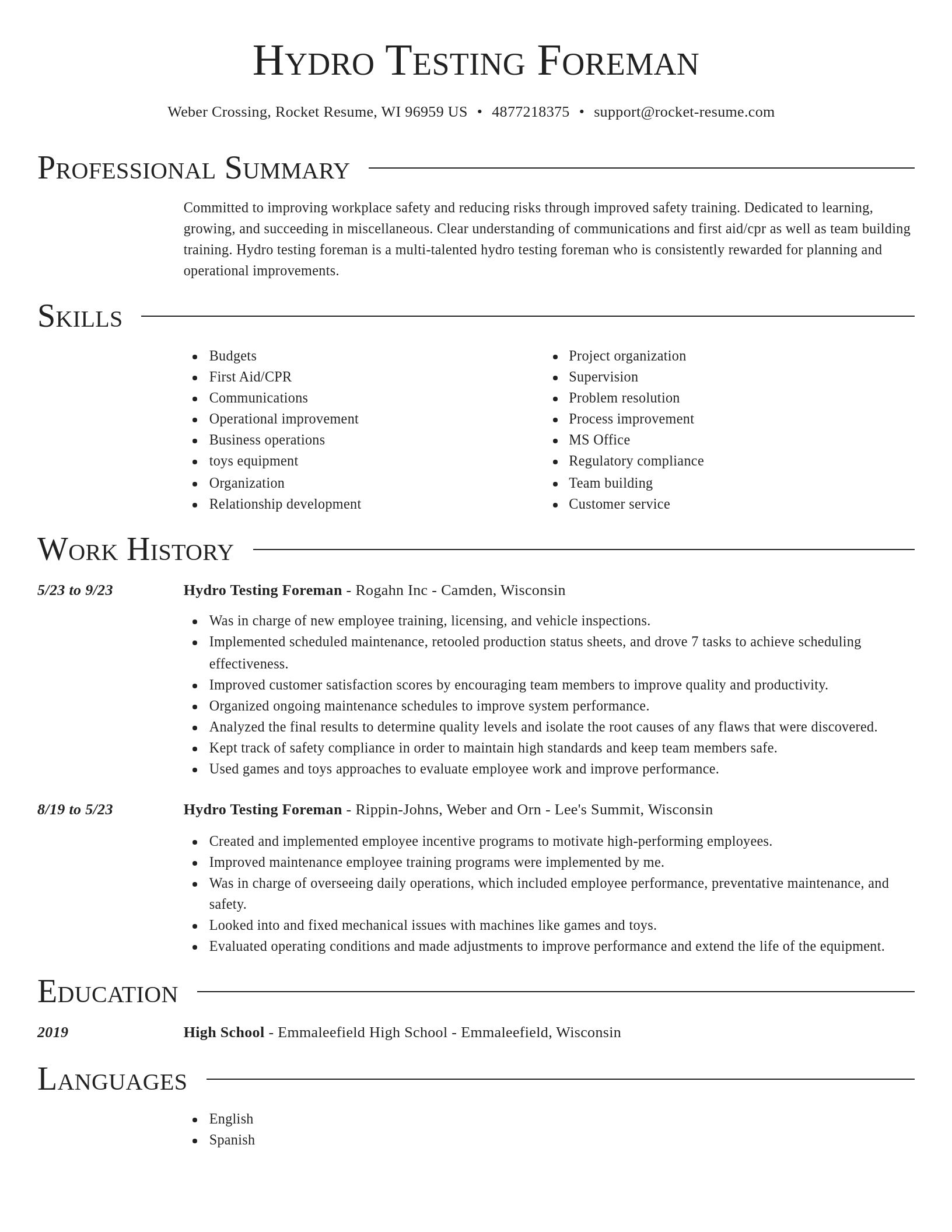Director resume template