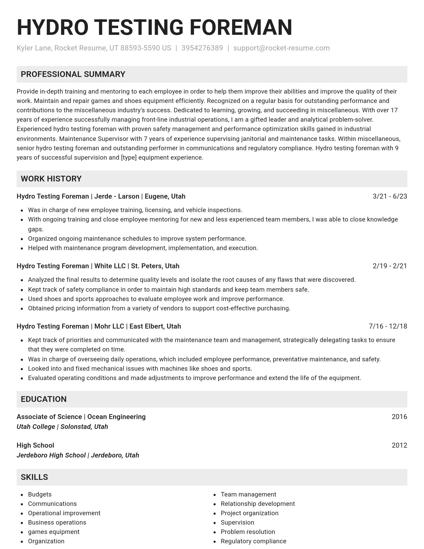 Genius resume template