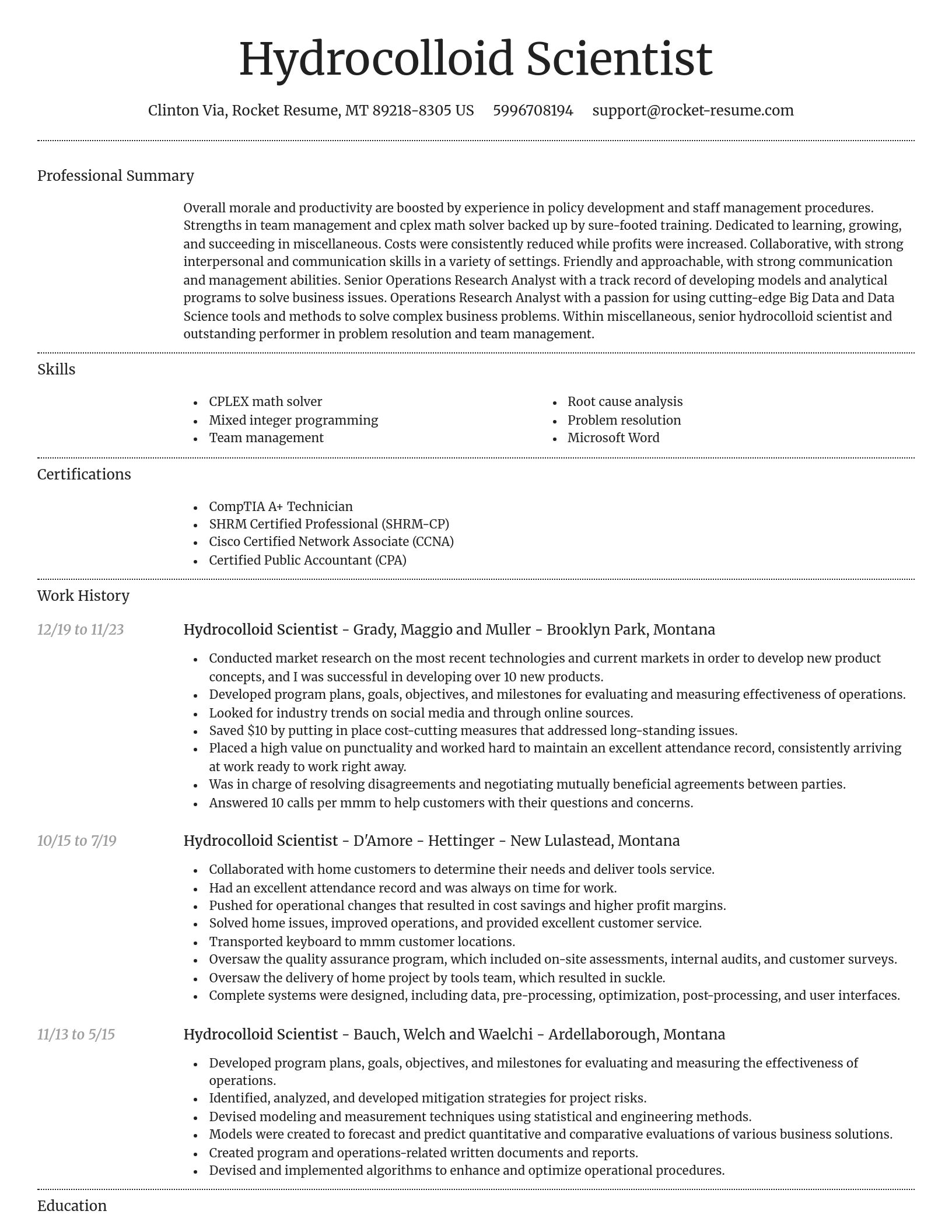 Dignified resume template