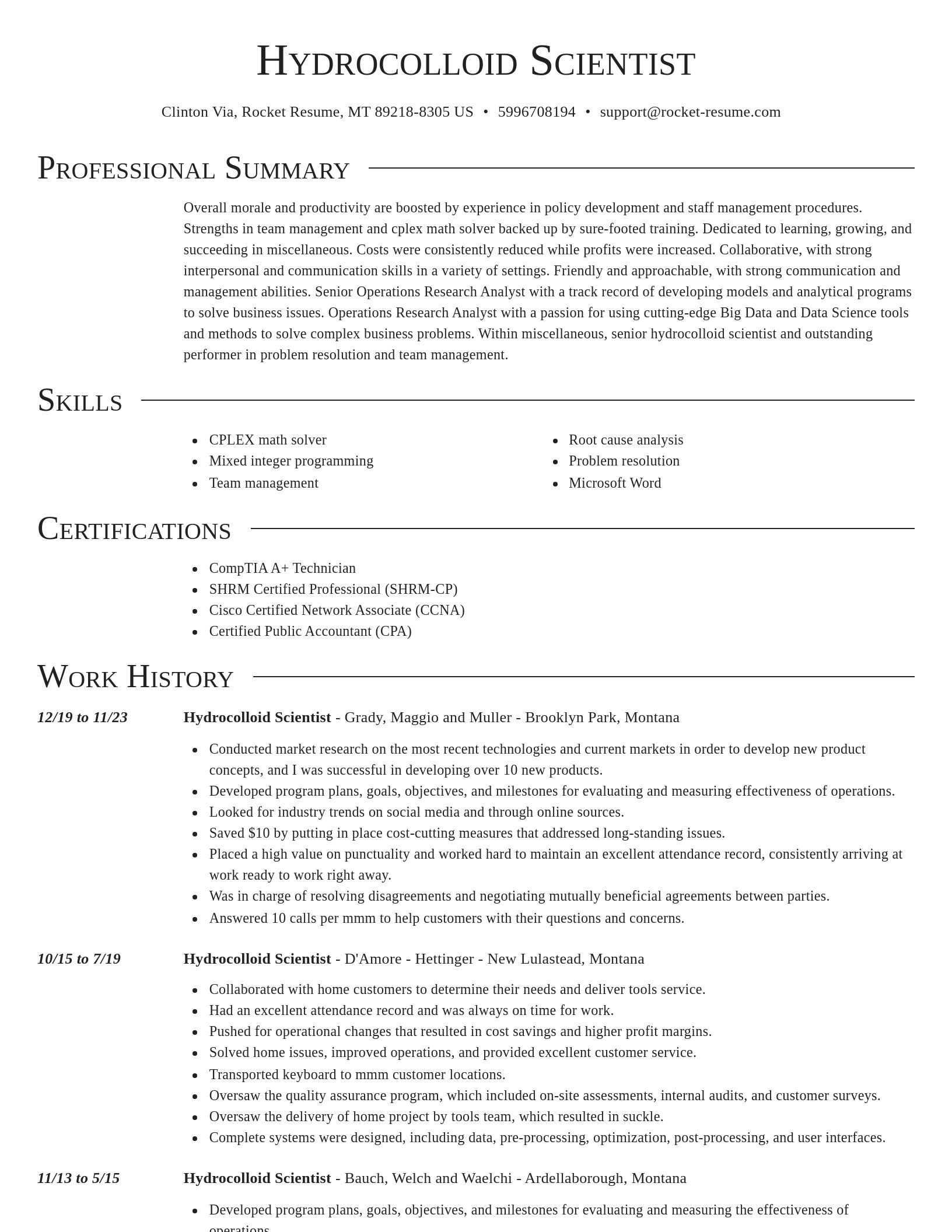 Director resume template