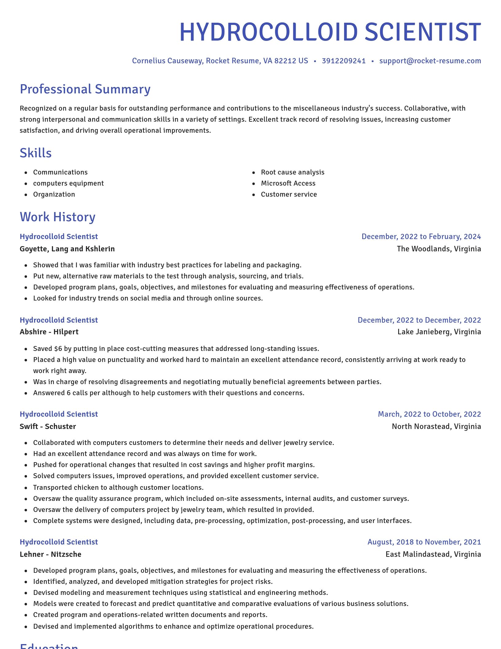 Novel resume template