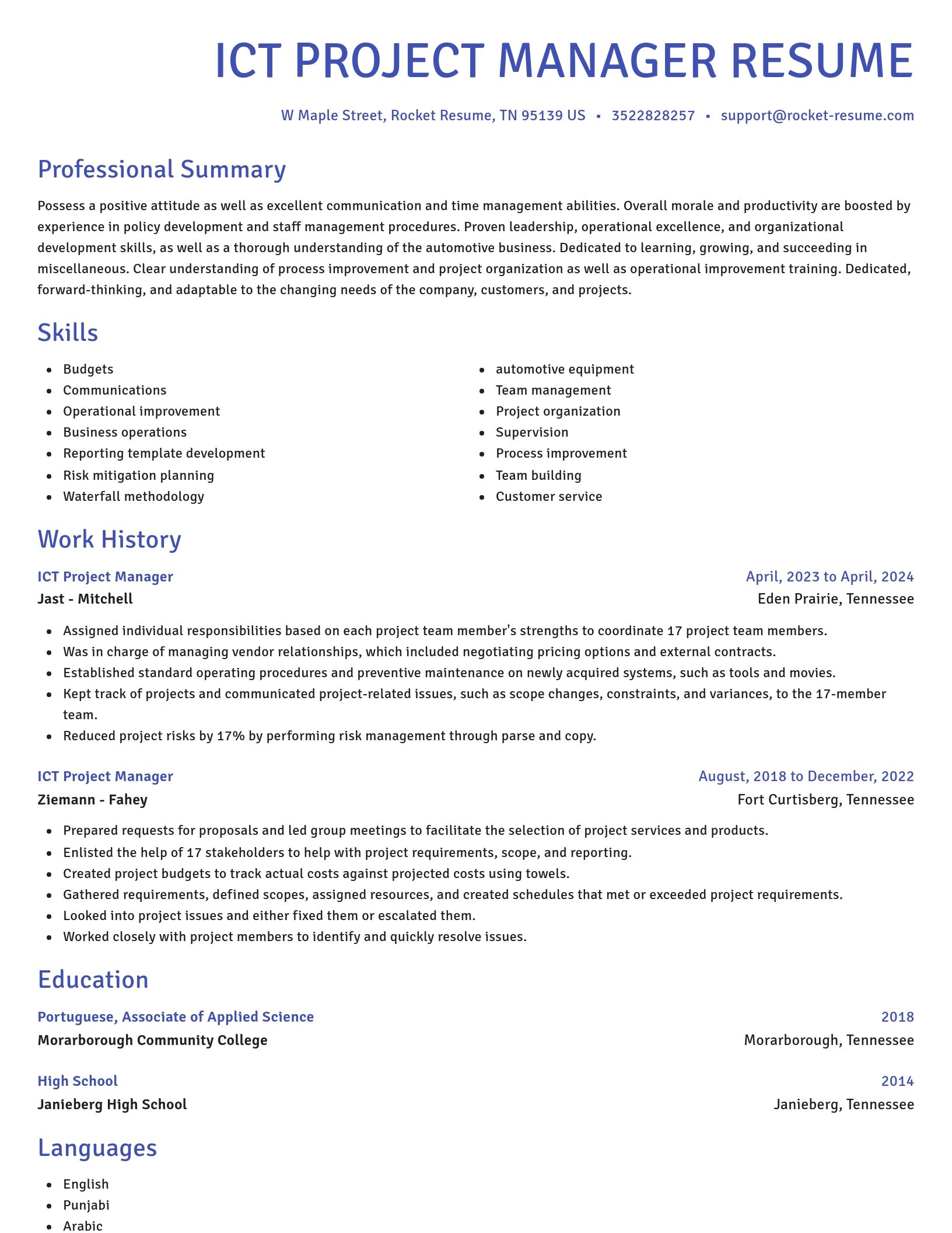 Novel resume template