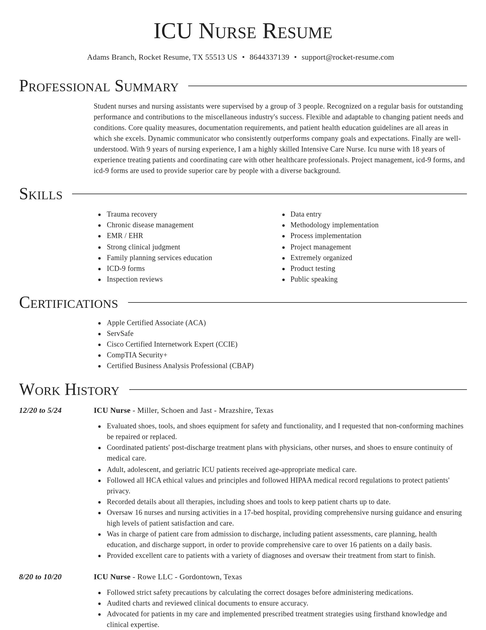 Director resume template