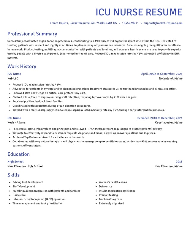 Novel resume template